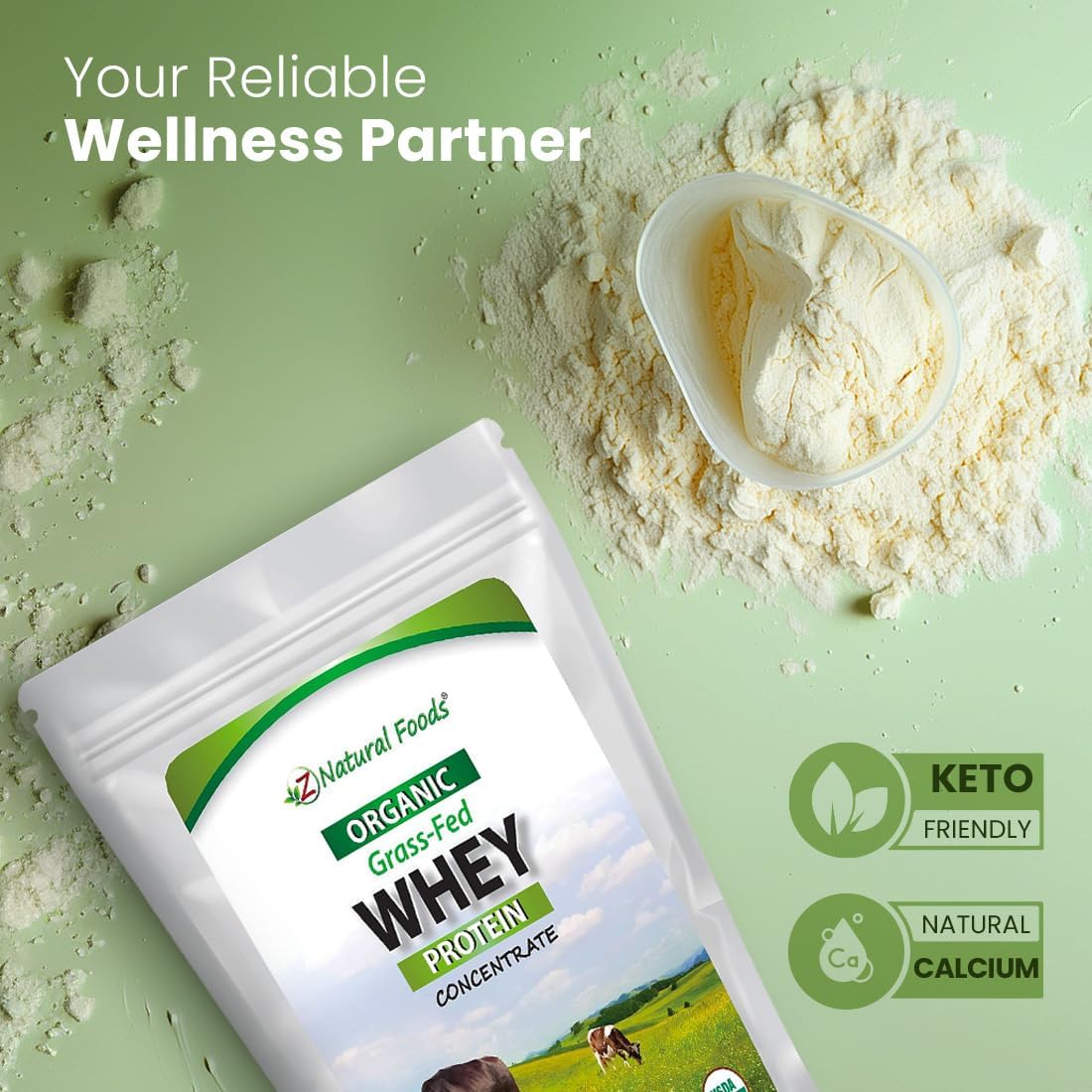 Organic Grass Fed Whey Protein Powder - Cold Processed Concentrate with Essential Amino Acids - Unflavored, 5 lbs