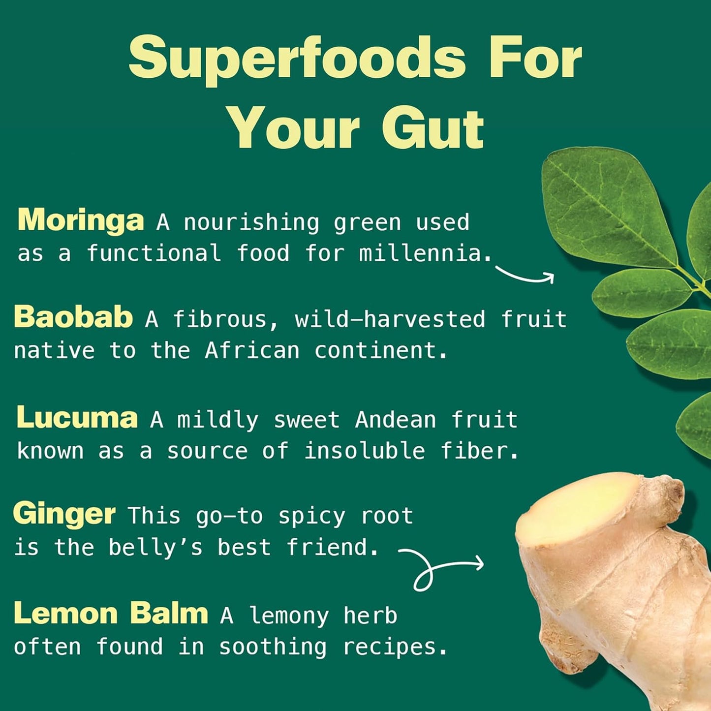 Organic Gut Bliss Superfood Powder [6 oz] - Moringa, Baobab, Lucuma, Ginger, Lemon Balm - Improve Digestion, Soothe Stomach - Gut Health Booster