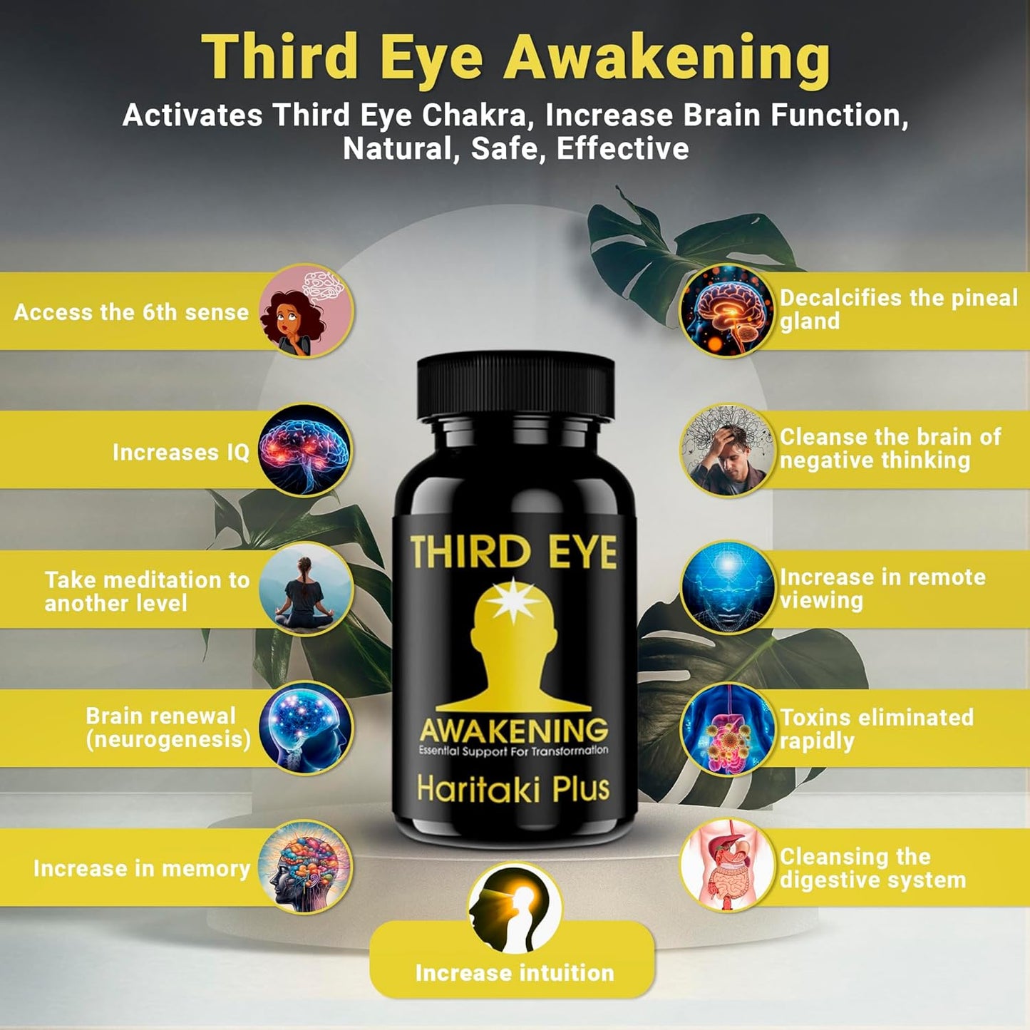 Organic Haritaki Capsules for Third Eye Awakening - 100 Capsules, 650mg Each - Vegan - Kailash Herbals
