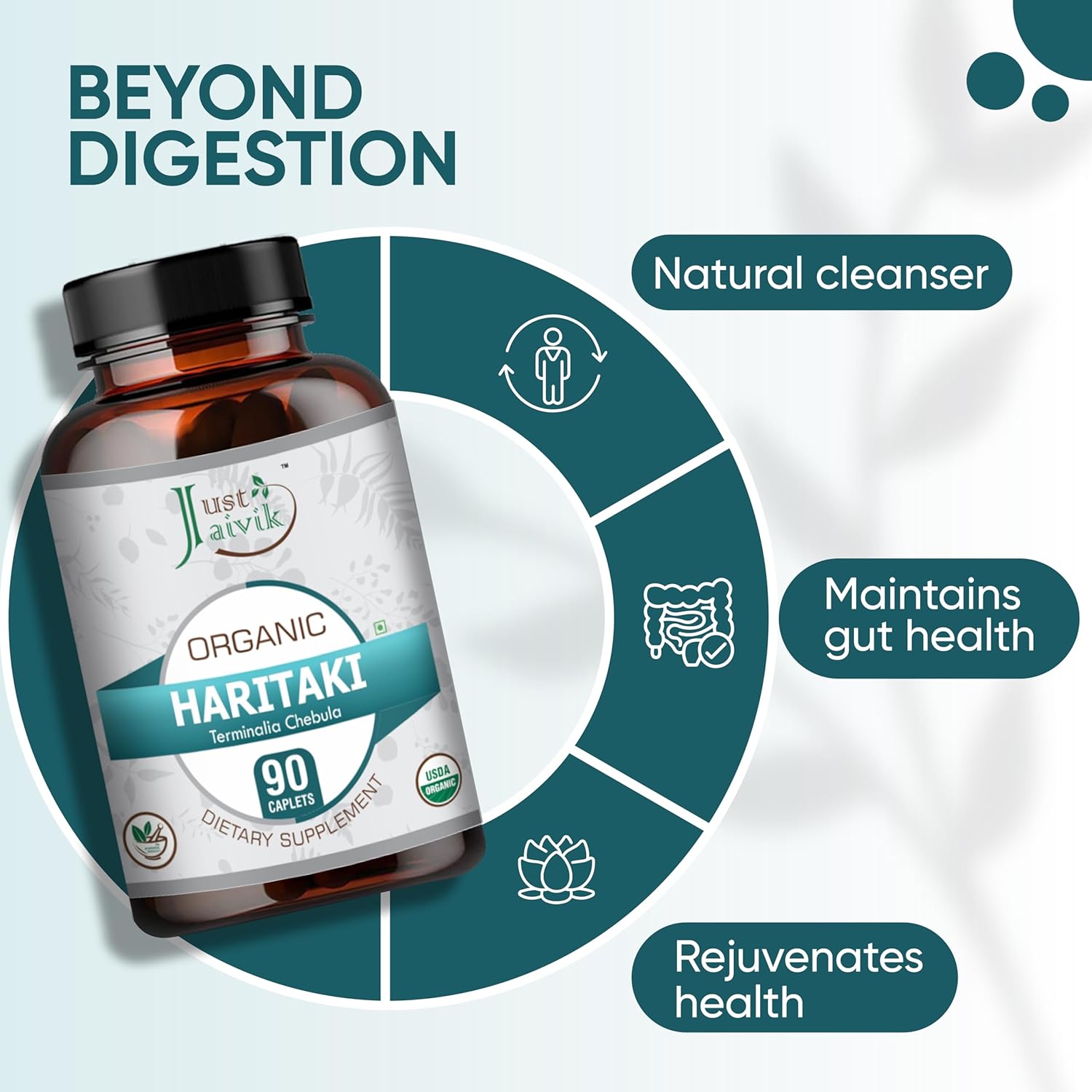 Organic Haritaki (Terminalia Chebula) Tablets - 750mg (90 Tablets) | Dietary Supplement for Detox & Rejuvenation