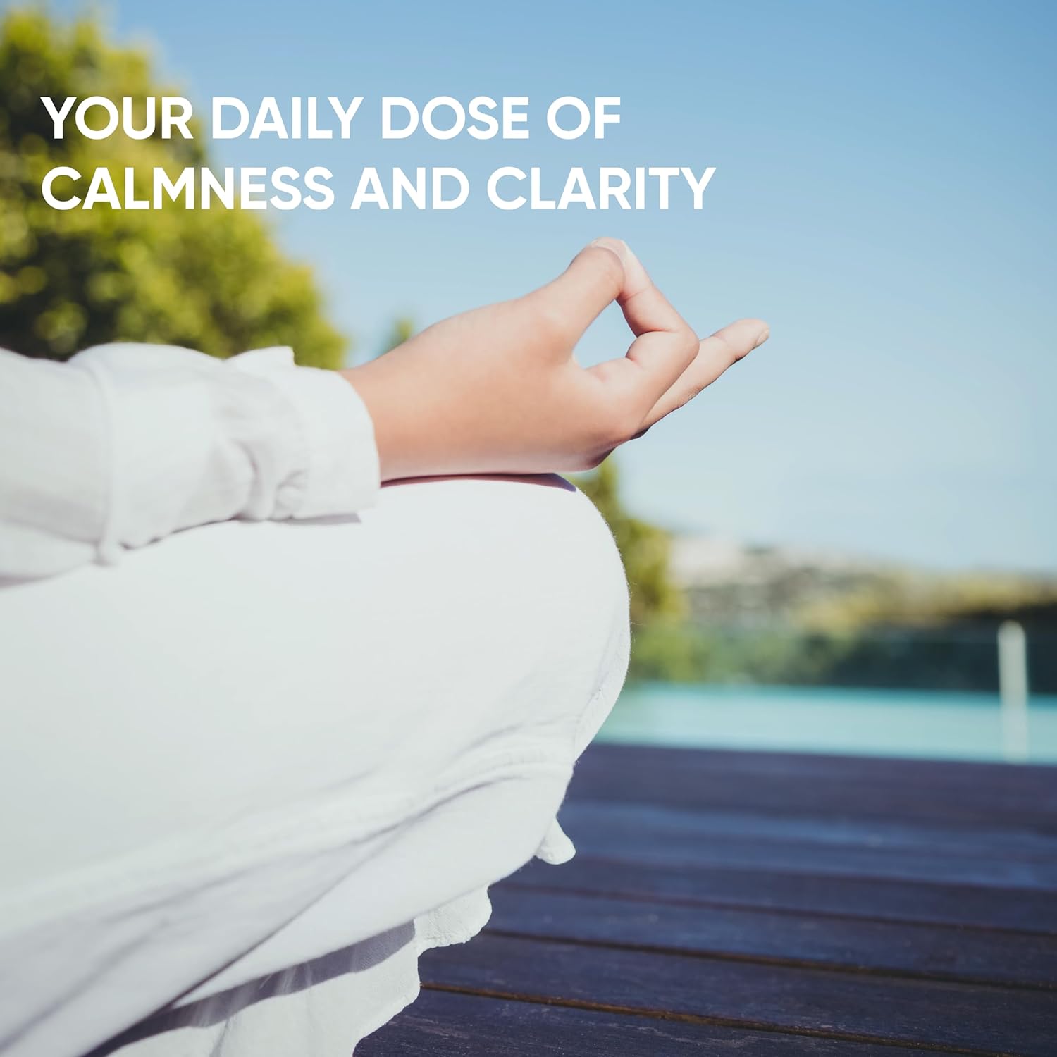 Organic Haritaki (Terminalia Chebula) Tablets - 750mg (90 Tablets) | Dietary Supplement for Detox & Rejuvenation