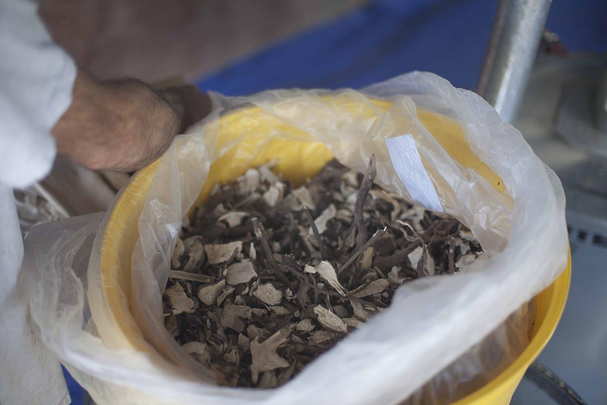 Organic Hawaiian Kava Powder - 8oz Maui Medicinal Herbs