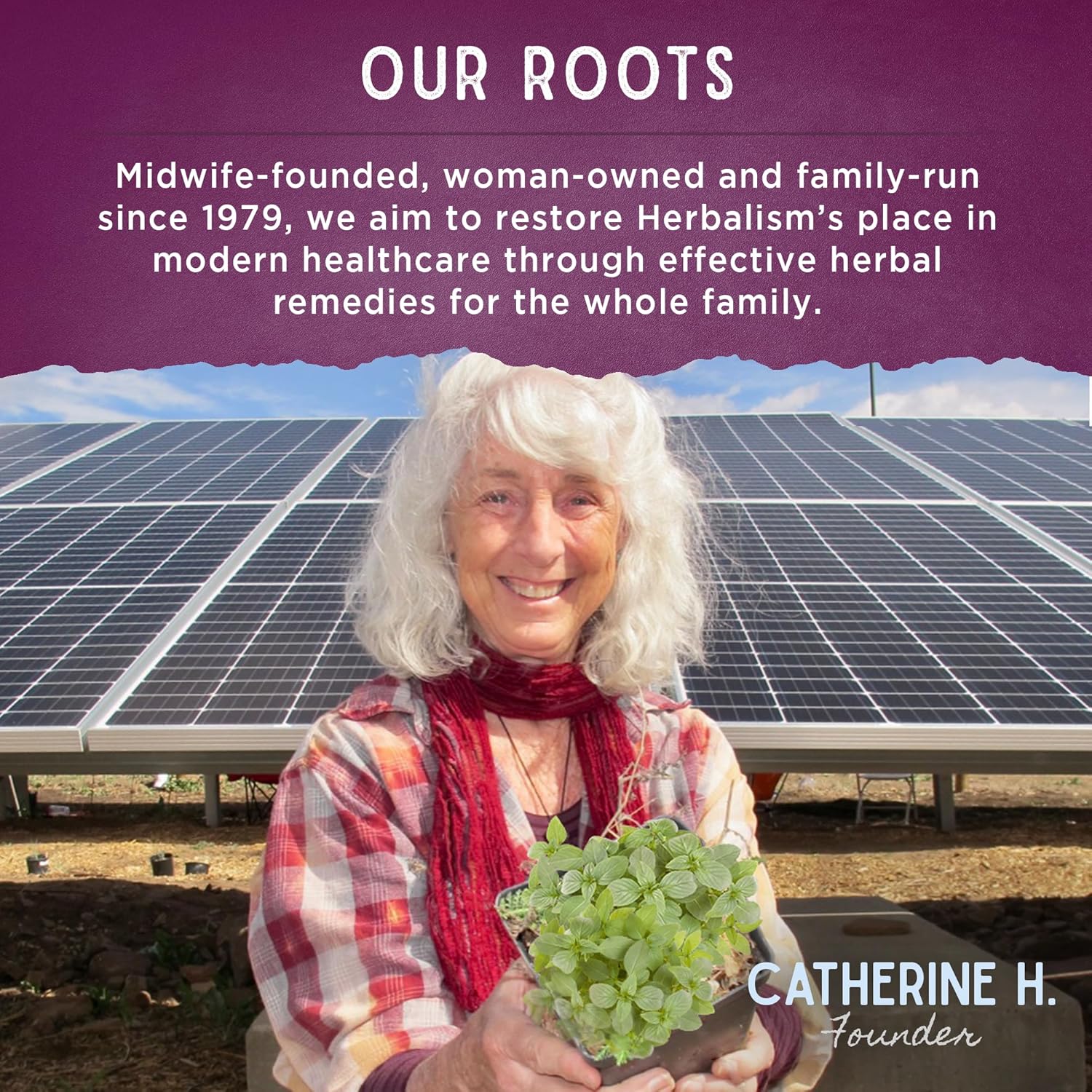 Organic Herbal Digestive Relief Tincture with Peppermint, Ginger, Fennel - Soothes Discomforts - 2oz