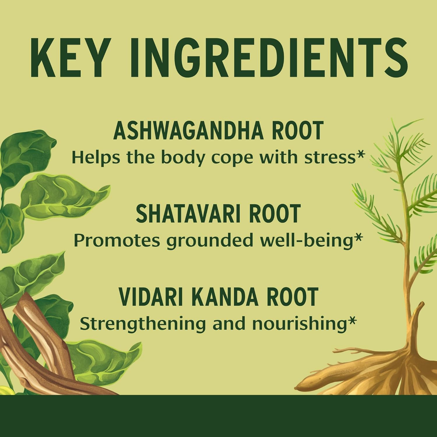 Organic Herbal Supplement for Calm and Balanced Well-being - 90 Tablets - Non-GMO Vegan Formula with Ashwagandha, Shatavari and Ayurvedic Herbs