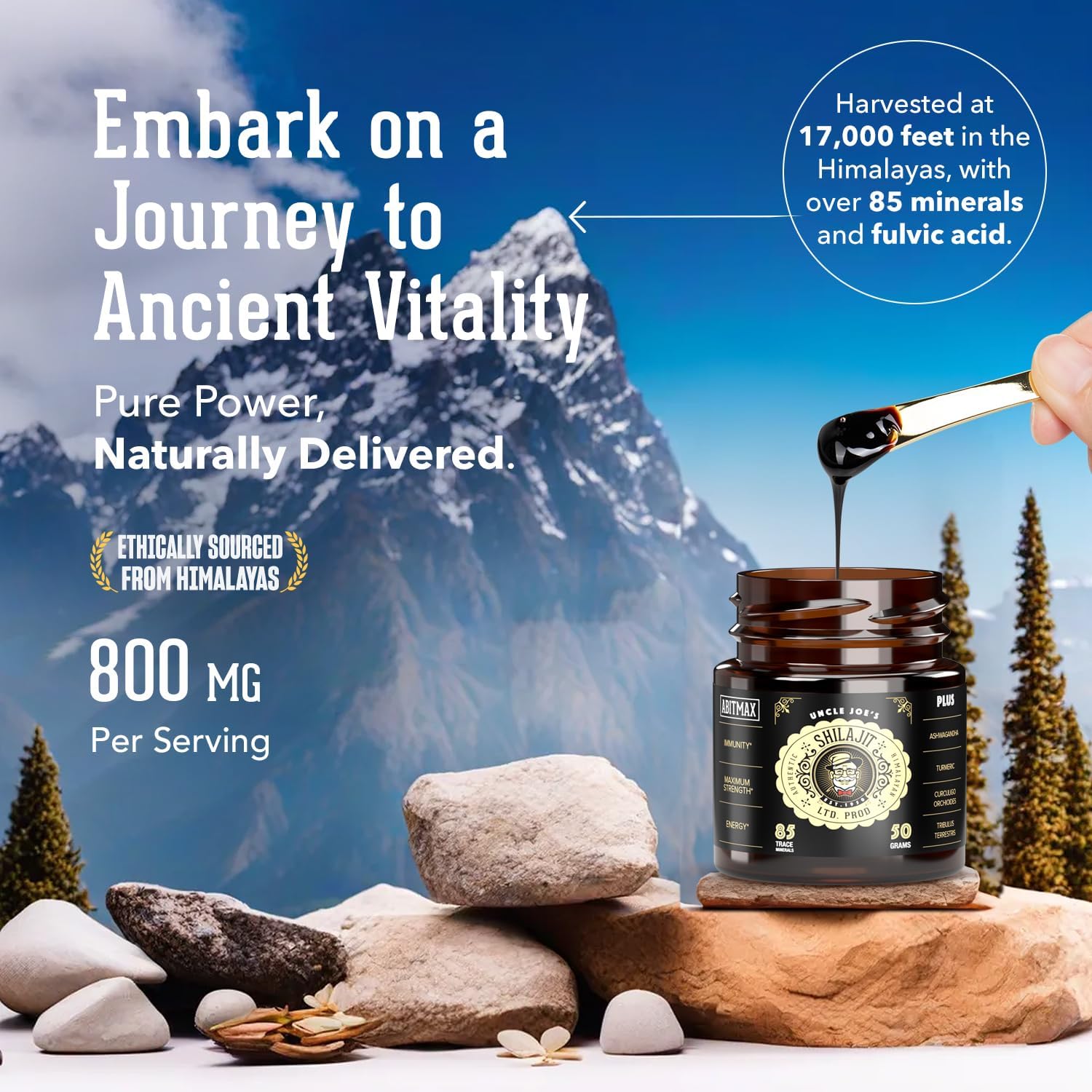 Organic Himalayan Shilajit Resin 50G - High Potency Golden Grade A Supplement with 85+ Trace Minerals, Fulvic Acid for Energy & Immune Support