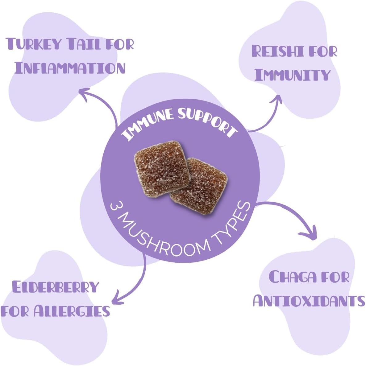 Organic Immune Support Gummies for Kids 2+ | Mini Mushy's Multi Mushroom & Elderberry | Allergy-Friendly, Low Sugar, Strawberry Flavor - 30 Count