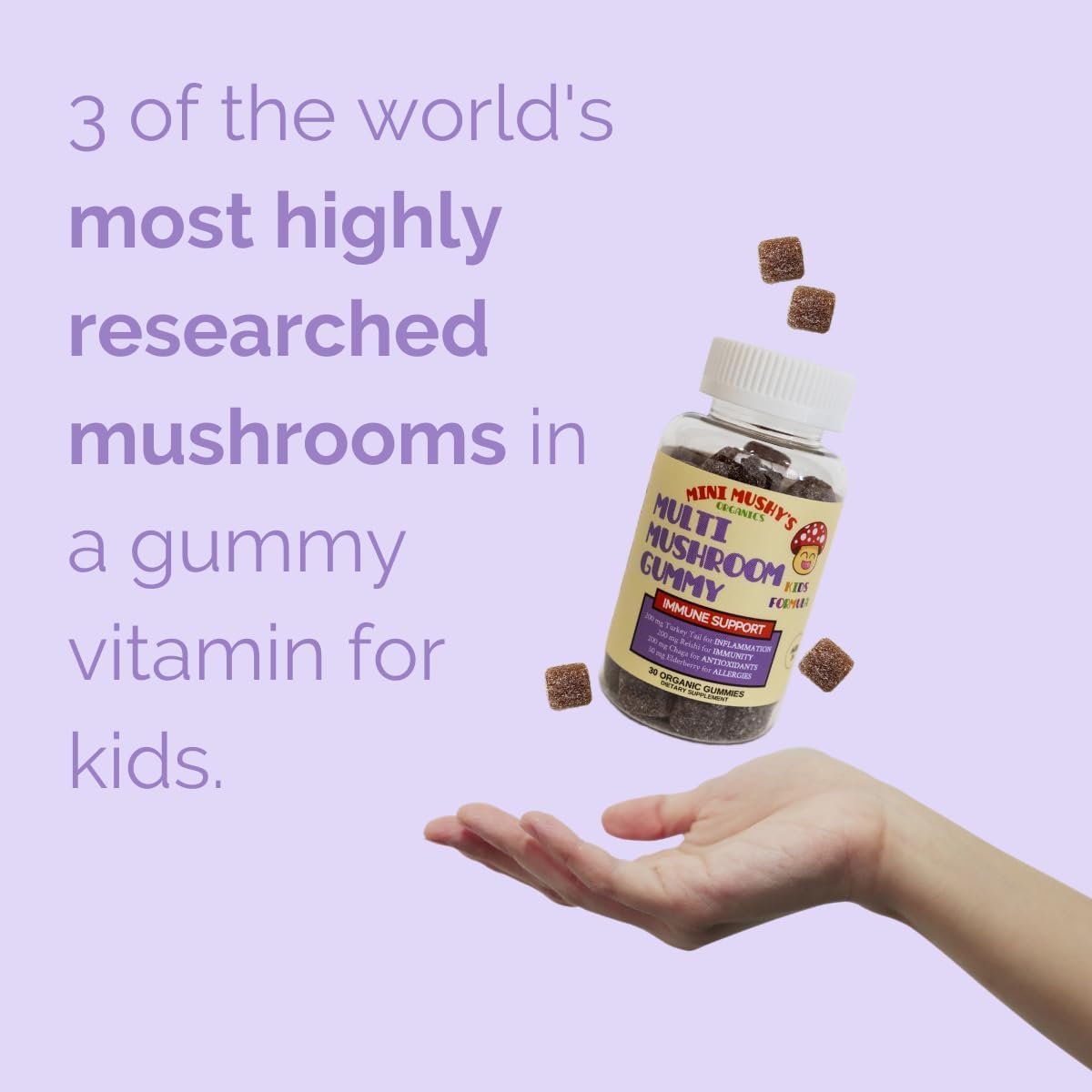 Organic Immune Support Gummies for Kids 2+ | Mini Mushy's Multi Mushroom & Elderberry | Allergy-Friendly, Low Sugar, Strawberry Flavor - 30 Count