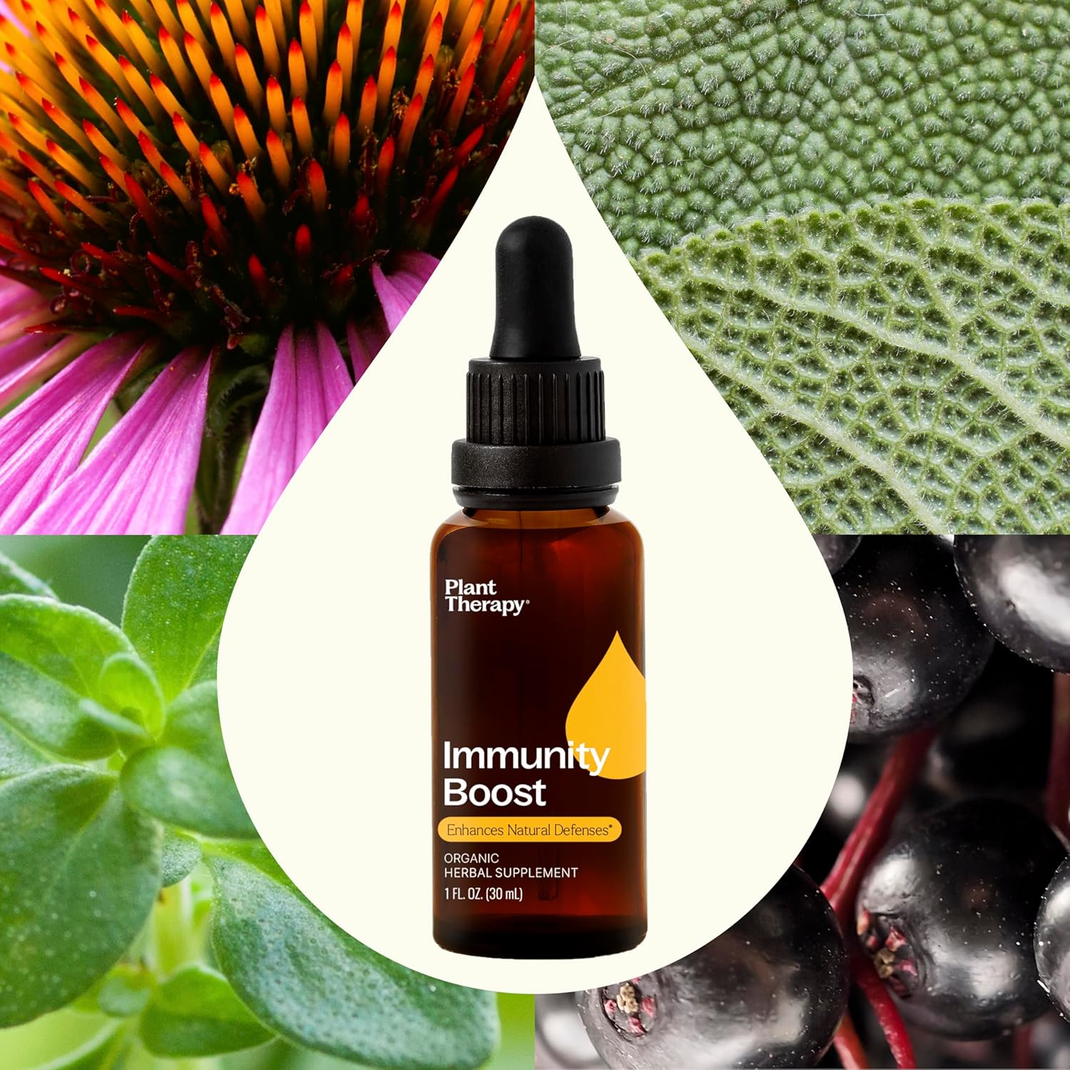 Organic Immunity Boost Tincture with Echinacea, Elderberry & Lemon Balm Extract - 30 mL (1 oz) - Natural Defense for Immune System - Seasonal Threats Support
