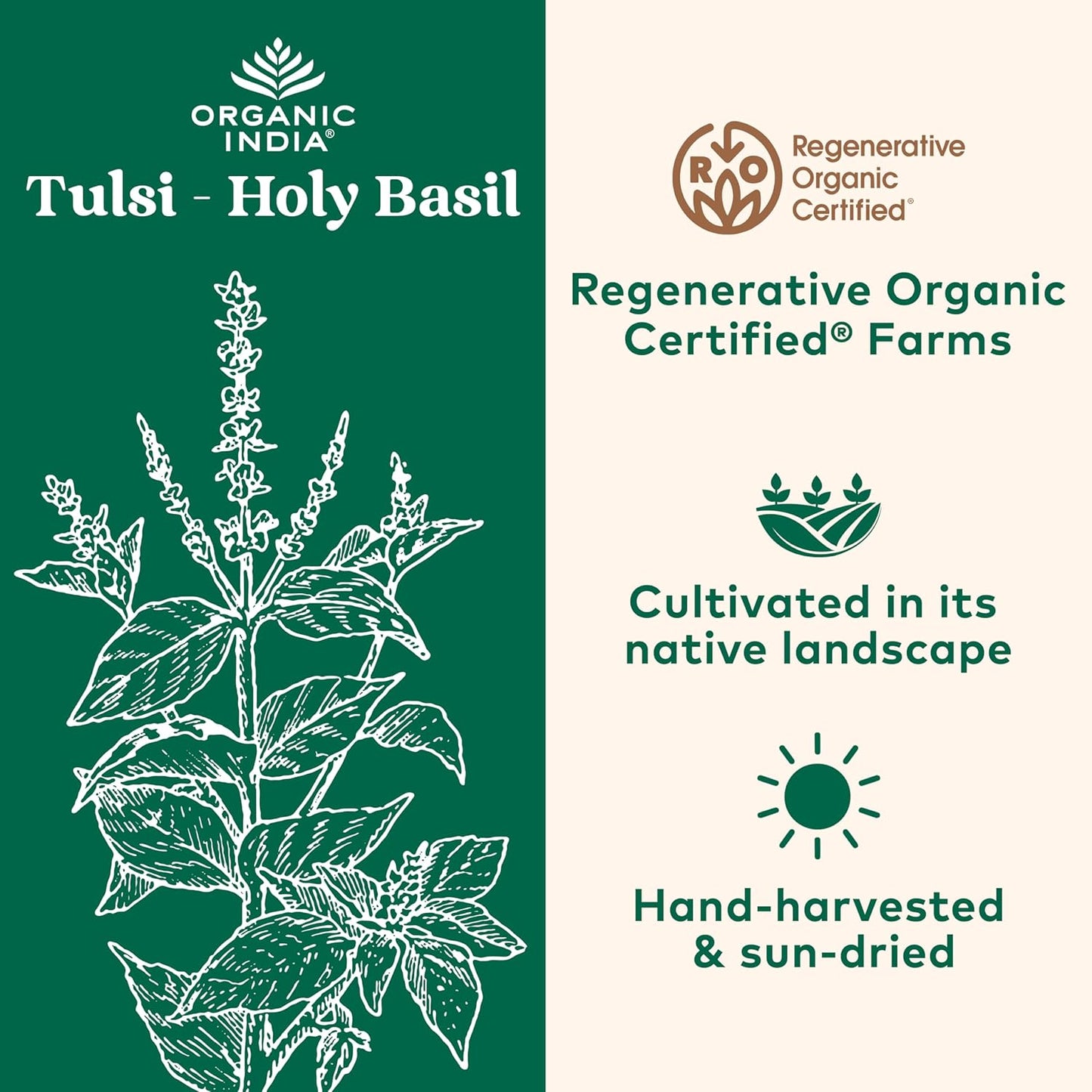 Organic India Tulsi Holy Basil Capsules - Herbal Supplement for Immune Support and Stress Relief - 60 Capsules, Vegan, Gluten-Free, Kosher, Non-GMO