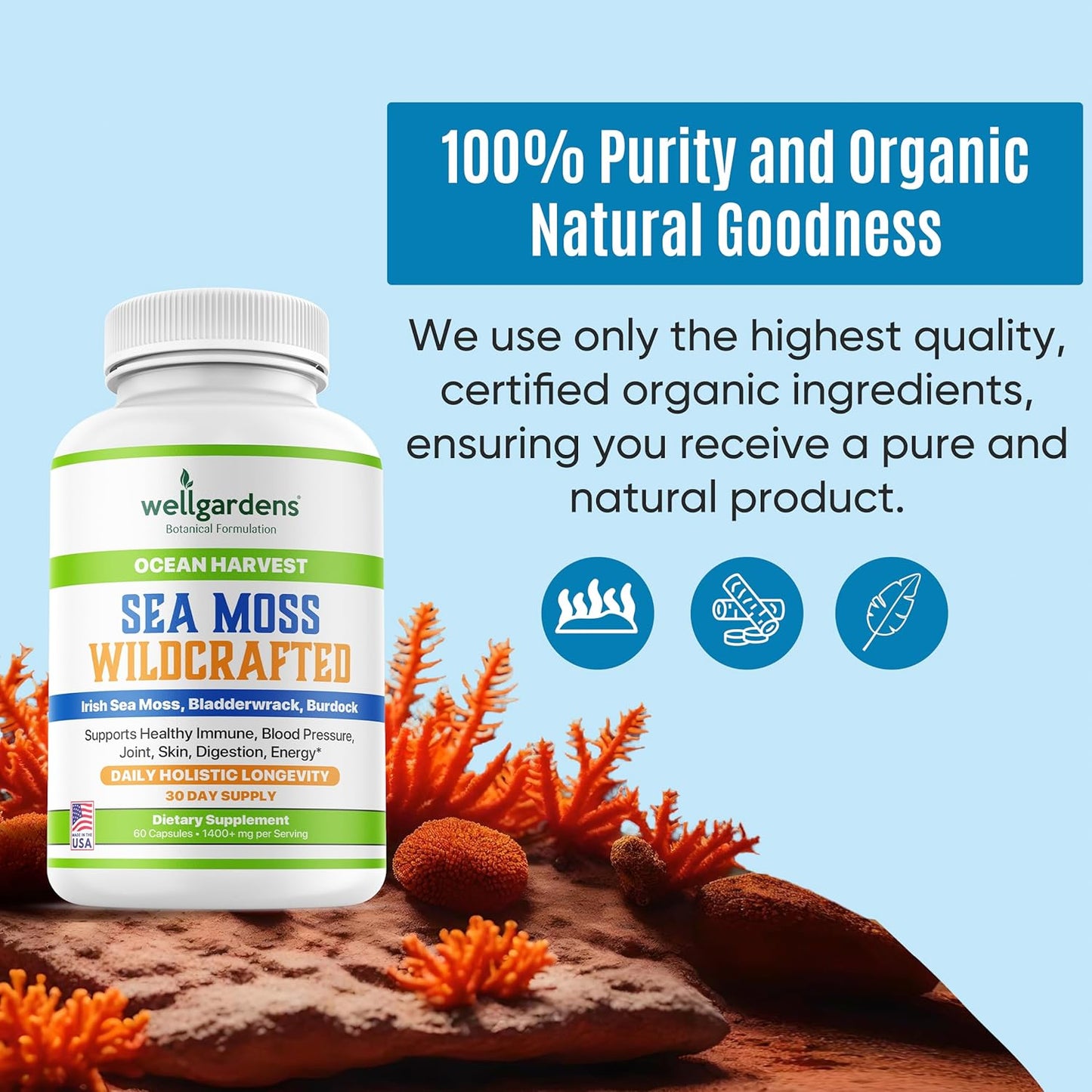 Organic Irish Sea Moss Capsules with Bladderwrack and Burdock Root for Immune Support, Blood Pressure, Joints, Skin, Digestion, Energy - 60 Count