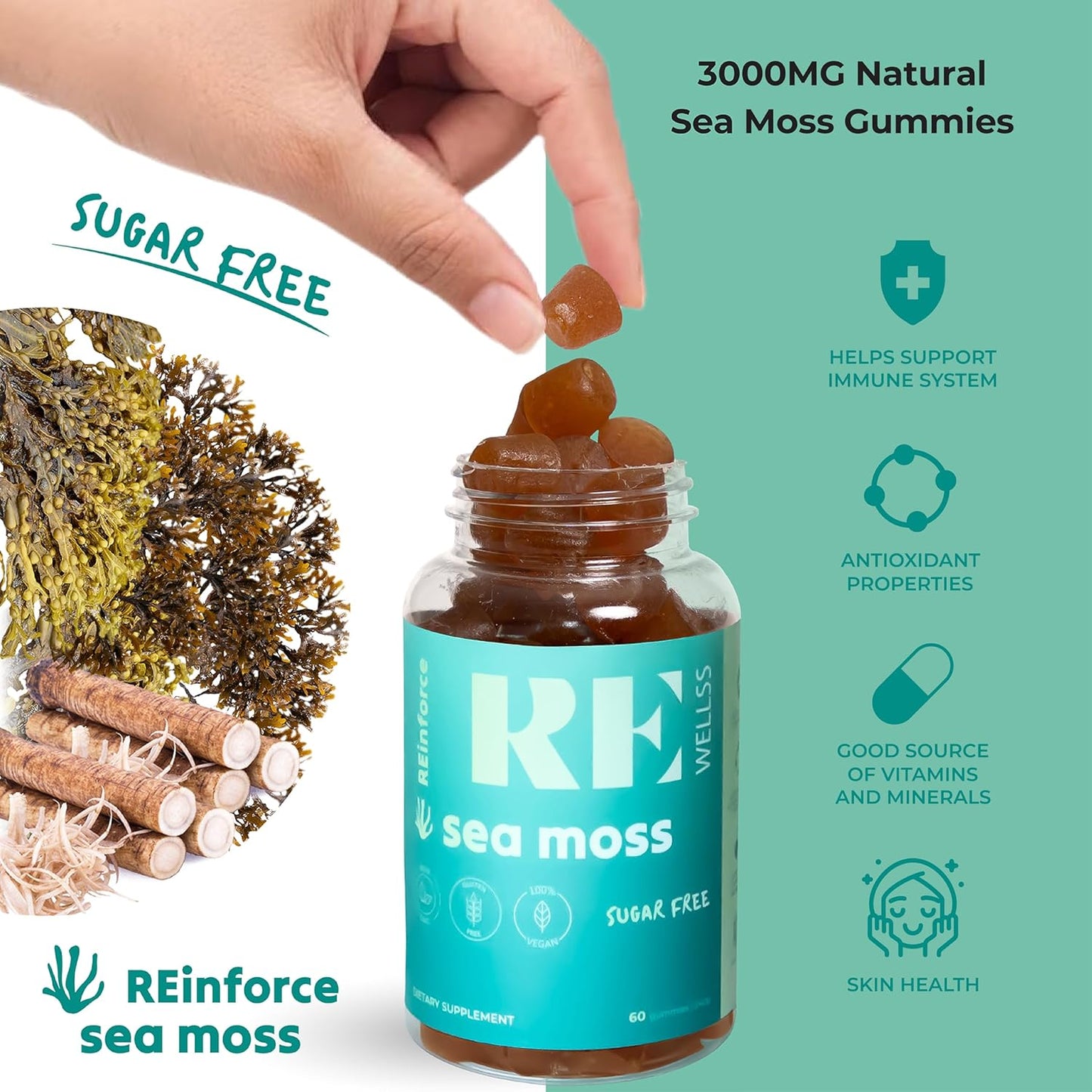 Organic Irish Sea Moss Gummies 3000mg with Bladderwrack & Burdock Root - Vegan, Gluten-Free, Sugar-Free Supplement for Skin, Joints, Thyroid & Immune Support - Natural Lime Flavor - 60 Gummies