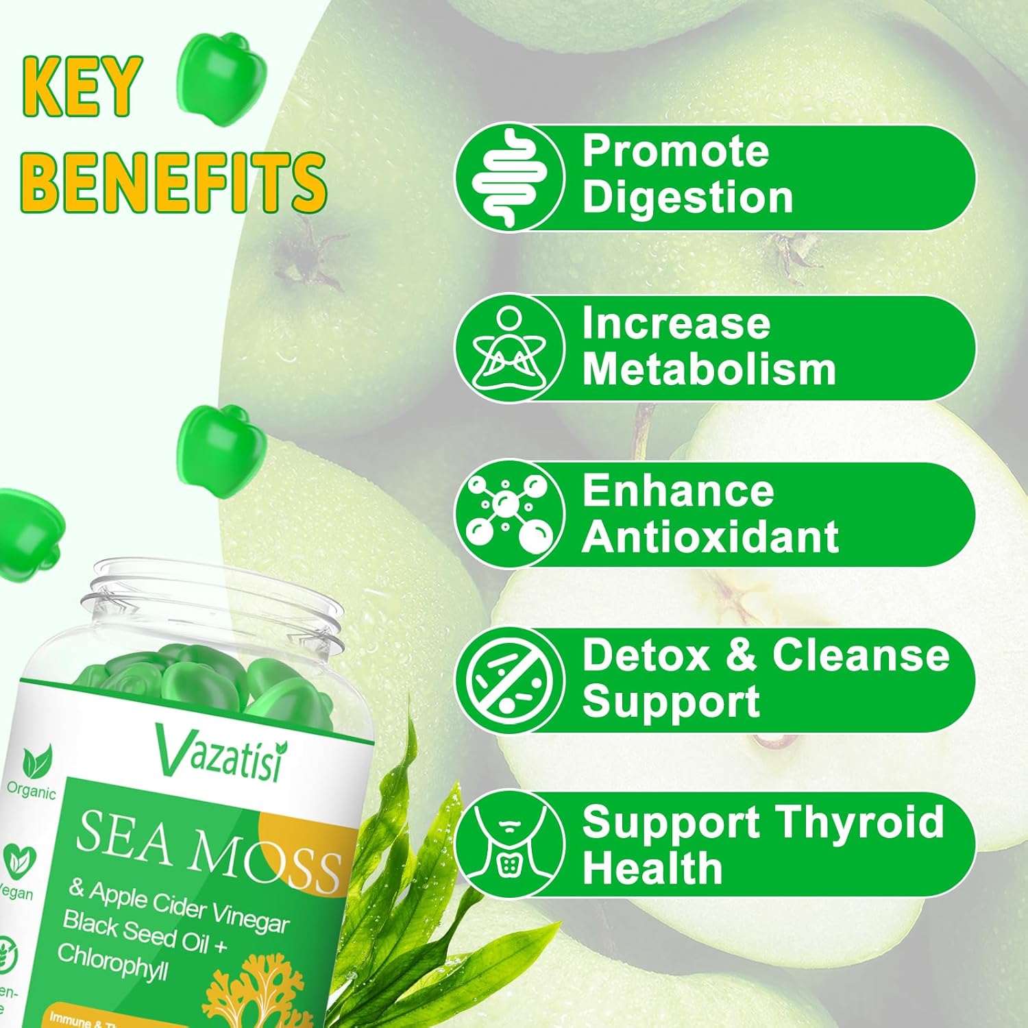 Organic Irish Sea Moss Gummies with Black Seed Oil & Chlorophyll - Thyroid, Digestion, Mood, Energy & Immune Support - 2 Pack, 120 Vegan Gummies - Adults, Kids, Women, Men