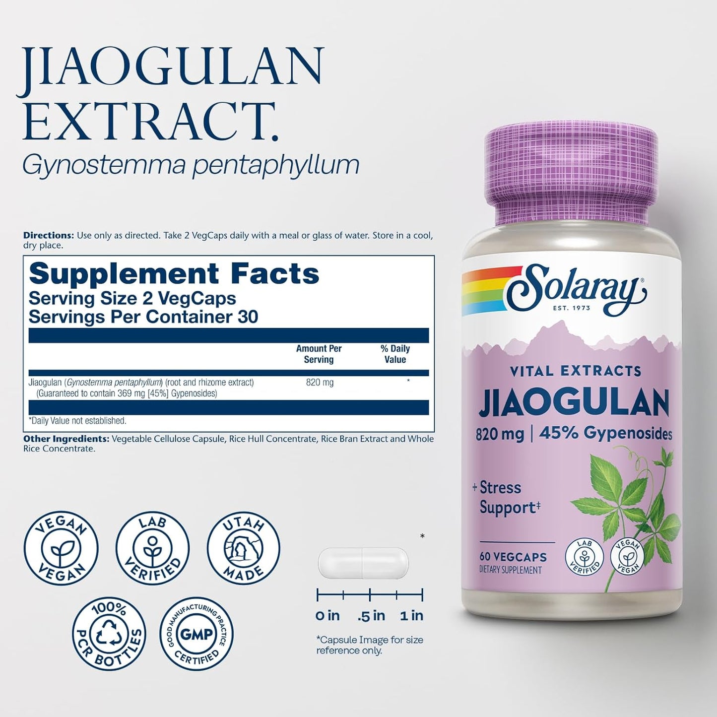 Organic Jiaogulan Root Extract Capsules - Stress Support & Antioxidants Supplement - Vegan, Lab Verified - 60-Day Guarantee