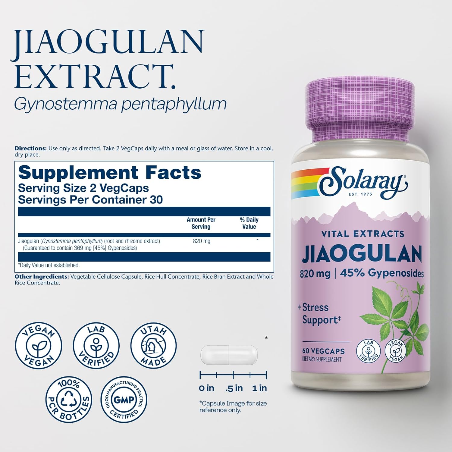Organic Jiaogulan Root Extract Capsules - Stress Support & Antioxidants Supplement - Vegan, Lab Verified - 60-Day Guarantee