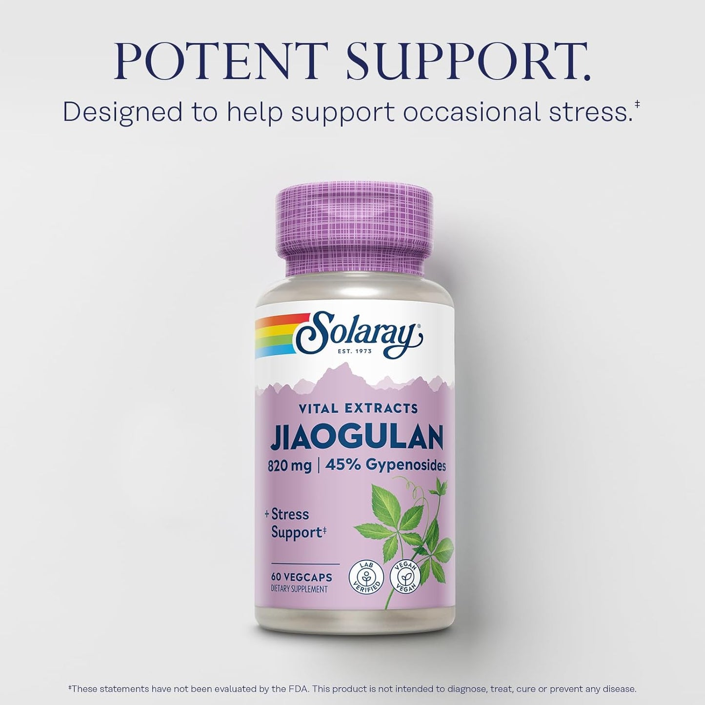 Organic Jiaogulan Root Extract Capsules - Stress Support & Antioxidants Supplement - Vegan, Lab Verified - 60-Day Guarantee