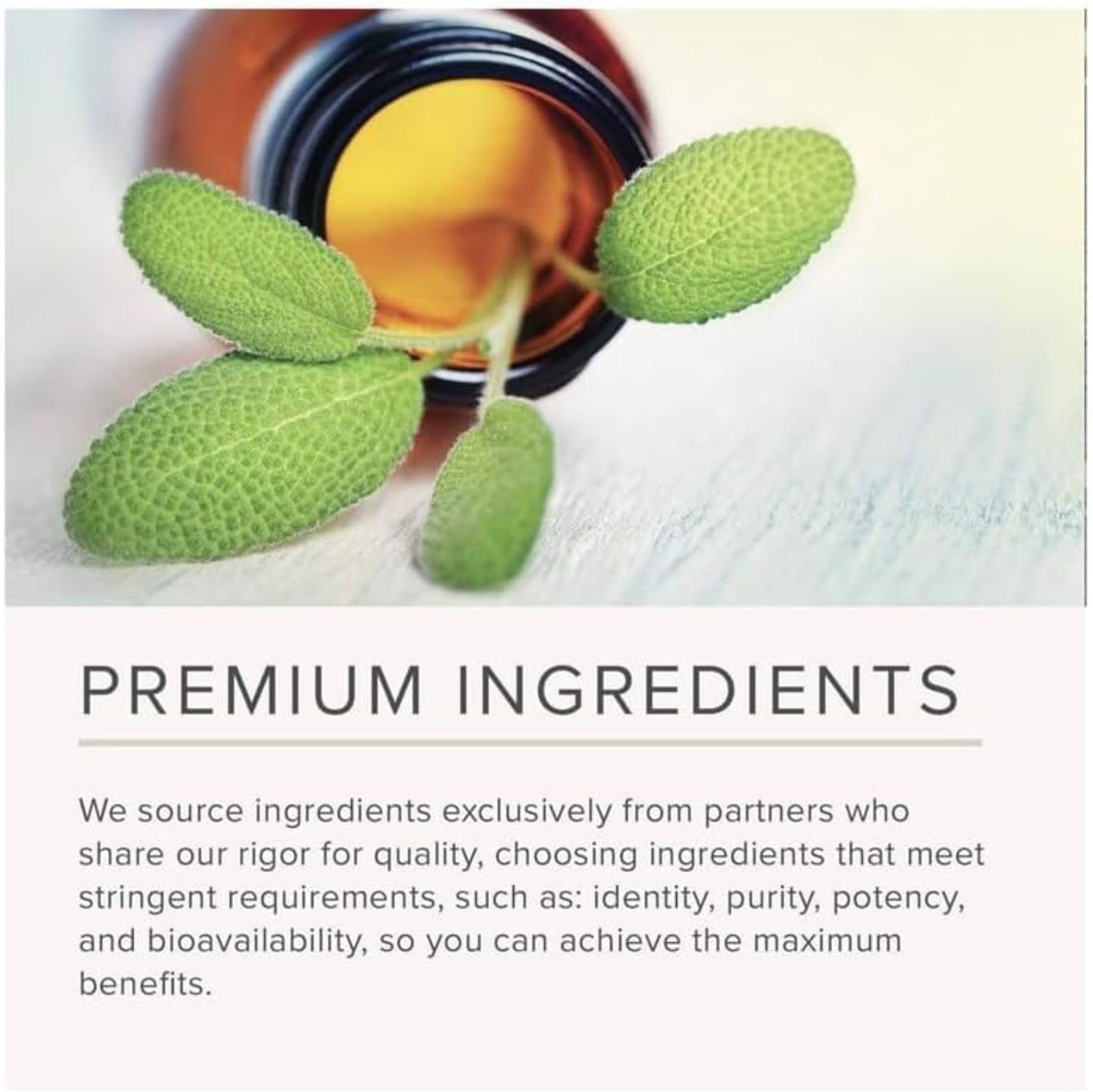 Organic Kale Powder Extract 10:1 - 10,000mg per Serving, 8.8oz - Non-GMO Pure Superfood Supplement