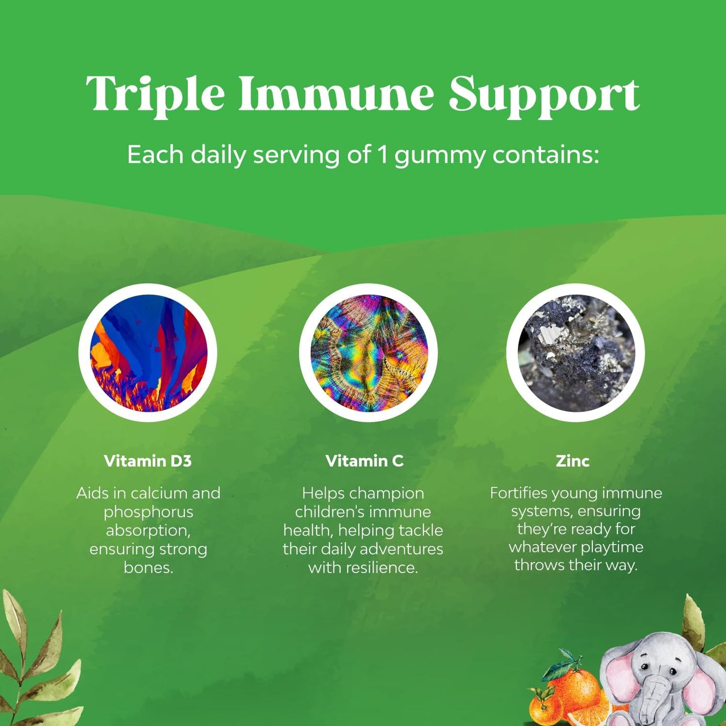 Organic Kids Multivitamin Gummies Bundle for Immunity Support - Daily Delicious Kids Multivitamin Gummies with Vitamin C and Zinc