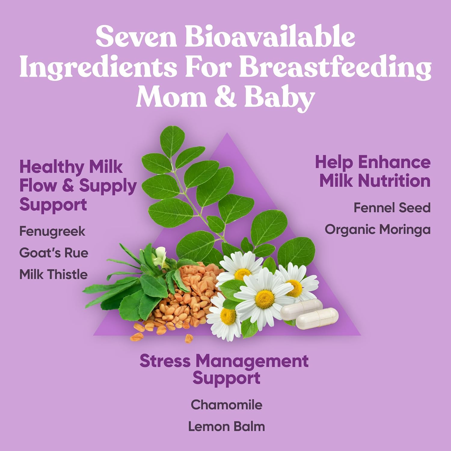 Organic Lactation Supplement for Postpartum Support - Fenugreek Capsules for Healthy Milk Flow & Production - With Goat's Rue, Milk Thistle, Fennel Seed, & Moringa - 60 Vegan Soft Capsules