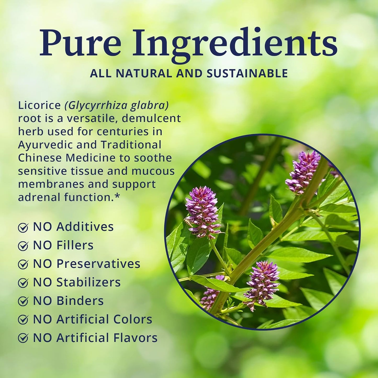 Organic Licorice Root Tincture - Powerful Botanical Extract for Throat Relief and Immune Support - 2 fl oz