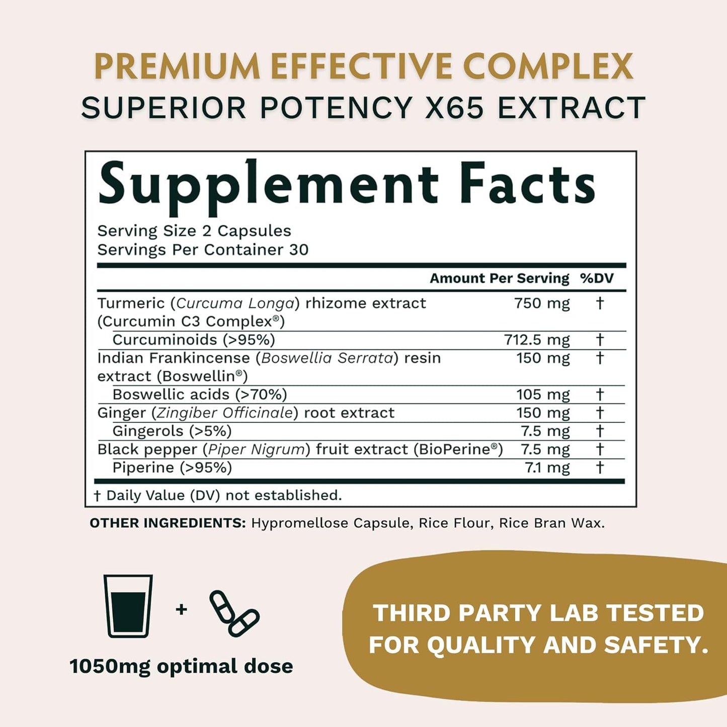 Organic Life Mastery Bundle with Ashwagandha, Boswellia, Curcumin, Lions Mane, Moringa - TRIBE ORGANICS