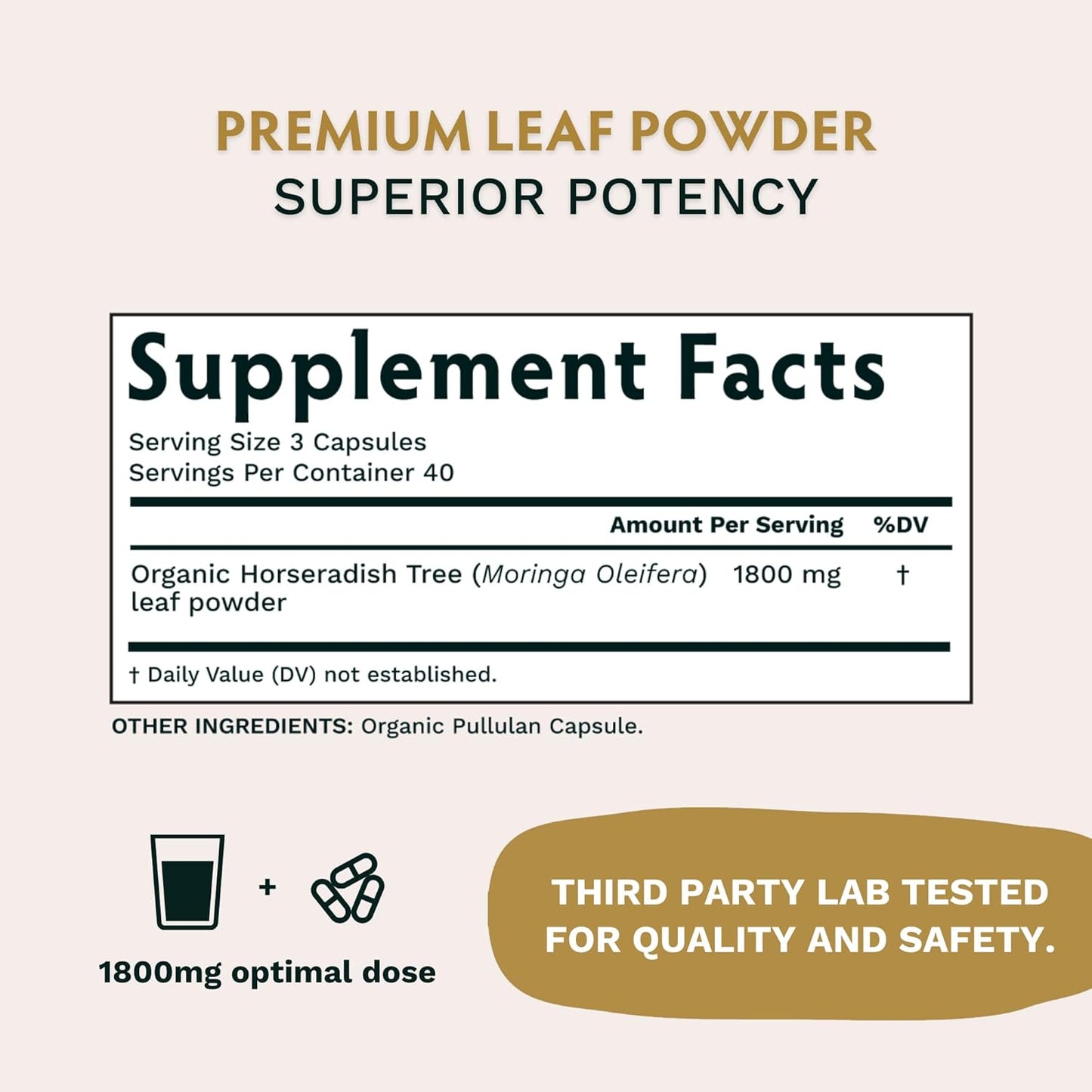 Organic Life Mastery Bundle with Ashwagandha, Boswellia, Curcumin, Lions Mane, Moringa - TRIBE ORGANICS