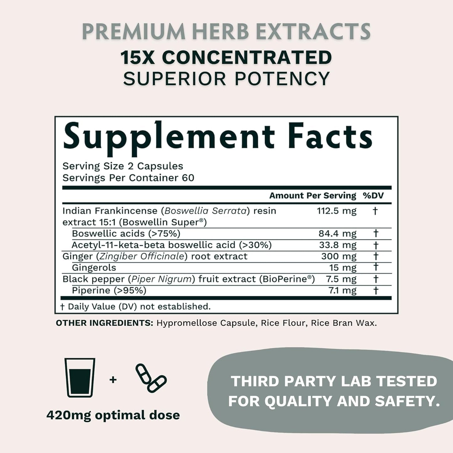 Organic Life Mastery Bundle with Ashwagandha, Boswellia, Curcumin, Lions Mane, Moringa - TRIBE ORGANICS