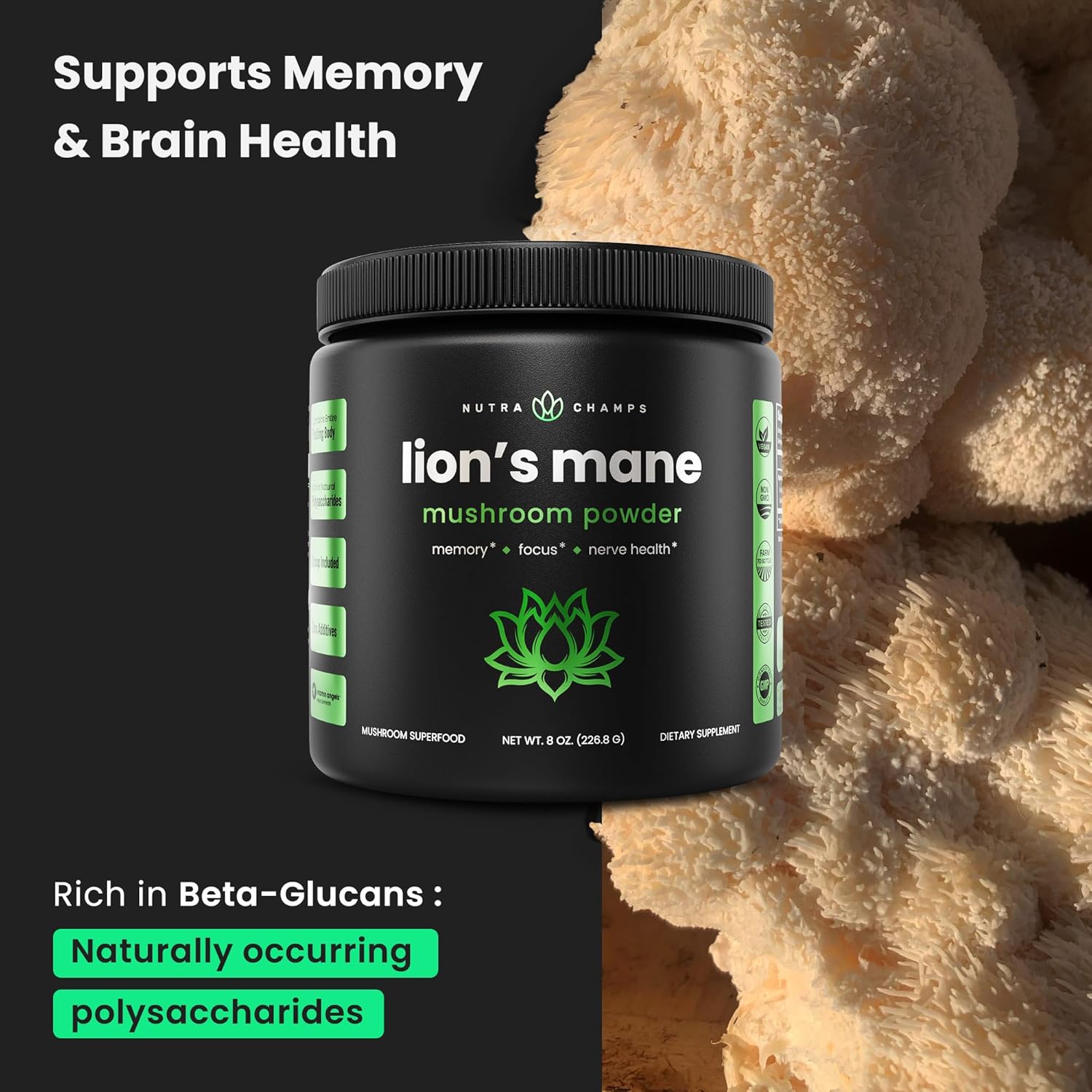 Organic Lions Mane and 10 Mushroom Blend Powder by NutraChamps