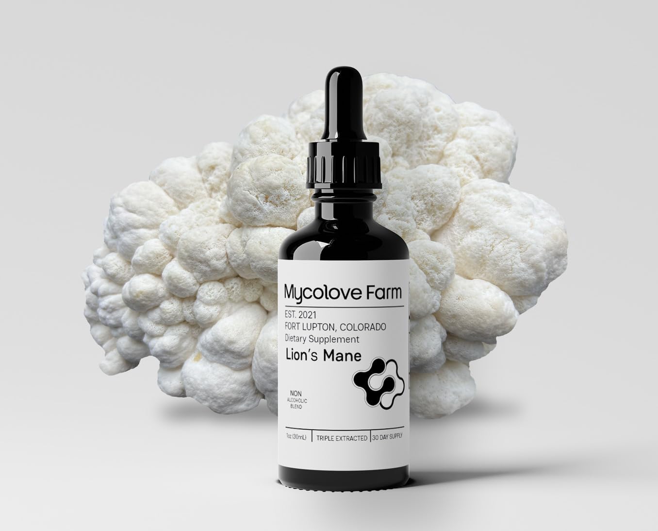Organic Lion's Mane & Gotu Kola Tincture for Mental Clarity - Fruiting Body Extract from Mycolove Farm