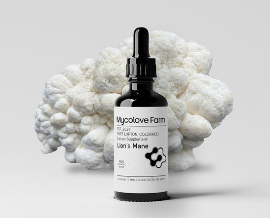 Organic Lion's Mane & Gotu Kola Tincture for Mental Clarity - Fruiting Body Extract from Mycolove Farm