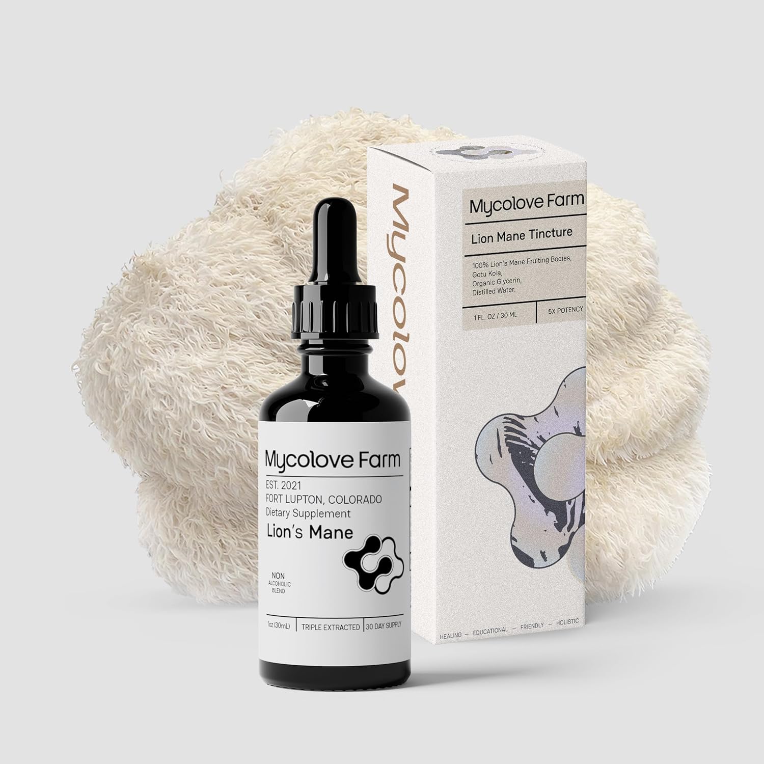 Organic Lion's Mane & Gotu Kola Tincture for Mental Clarity - Fruiting Body Extract from Mycolove Farm