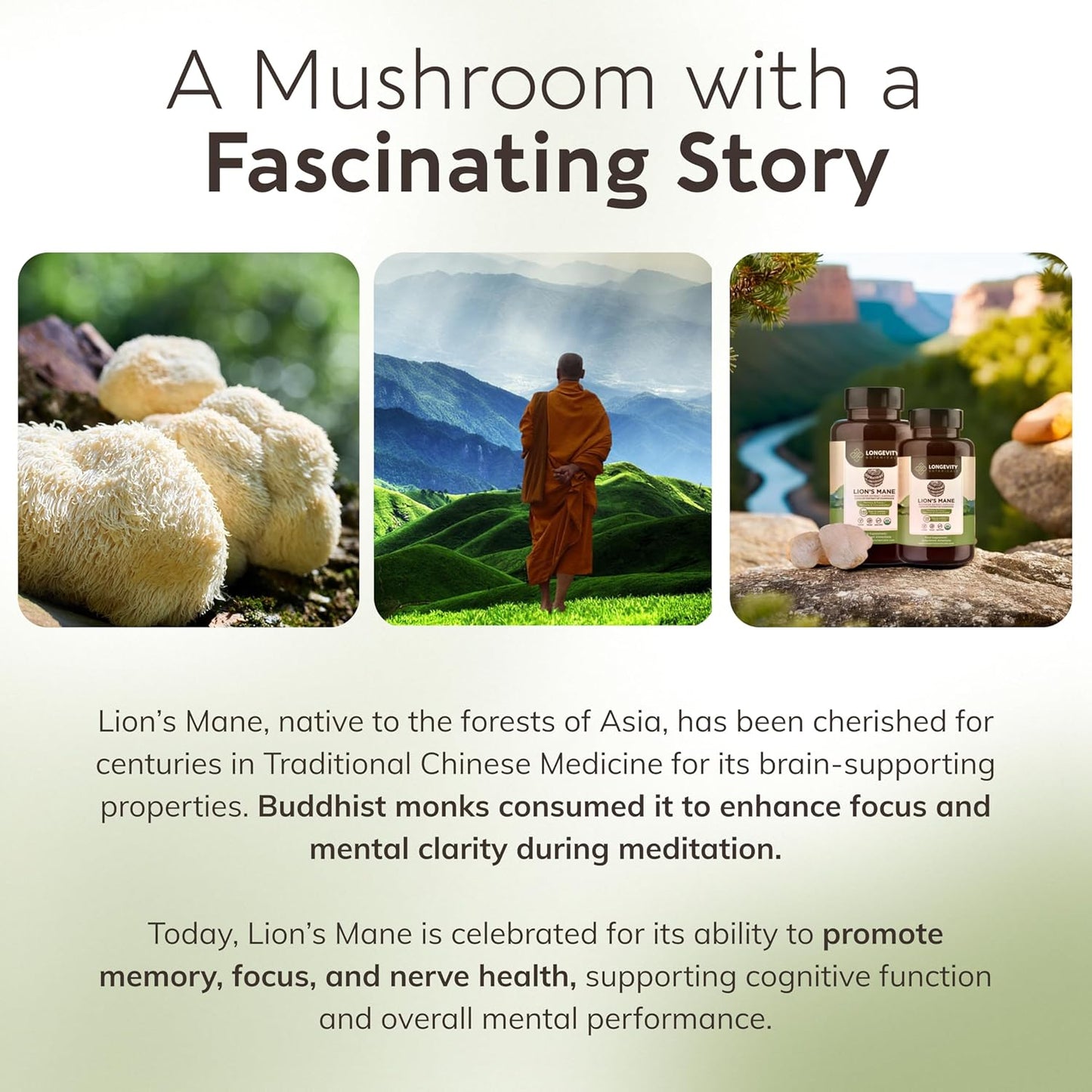 Organic Lions Mane Mushroom Capsules - Ultra Concentrated Supplement for Mental Clarity, Focus, and Memory - 100% Fruiting Body - 240 Count - BoostGo Australia