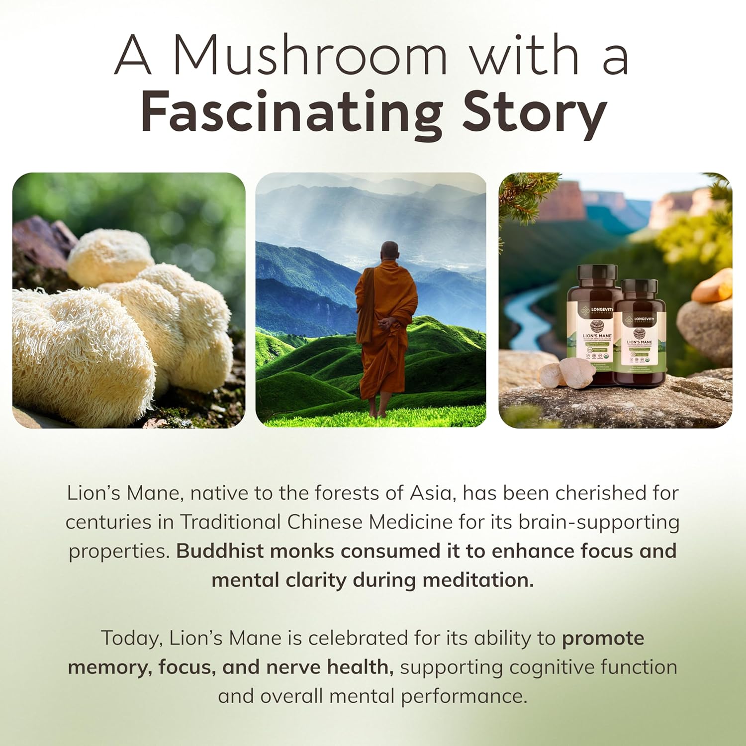 Organic Lions Mane Mushroom Capsules - Ultra Concentrated Supplement for Mental Clarity, Focus, and Memory - 100% Fruiting Body - 240 Count - BoostGo Australia