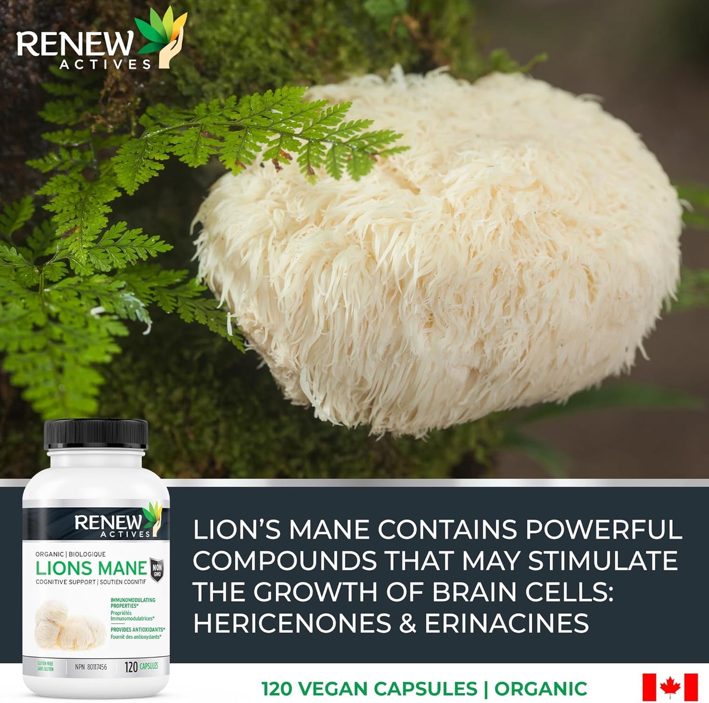 Organic Lion's Mane Mushroom Capsules for Brain Function, Memory, Focus, Stress Relief, Immune Health - 120 ct.