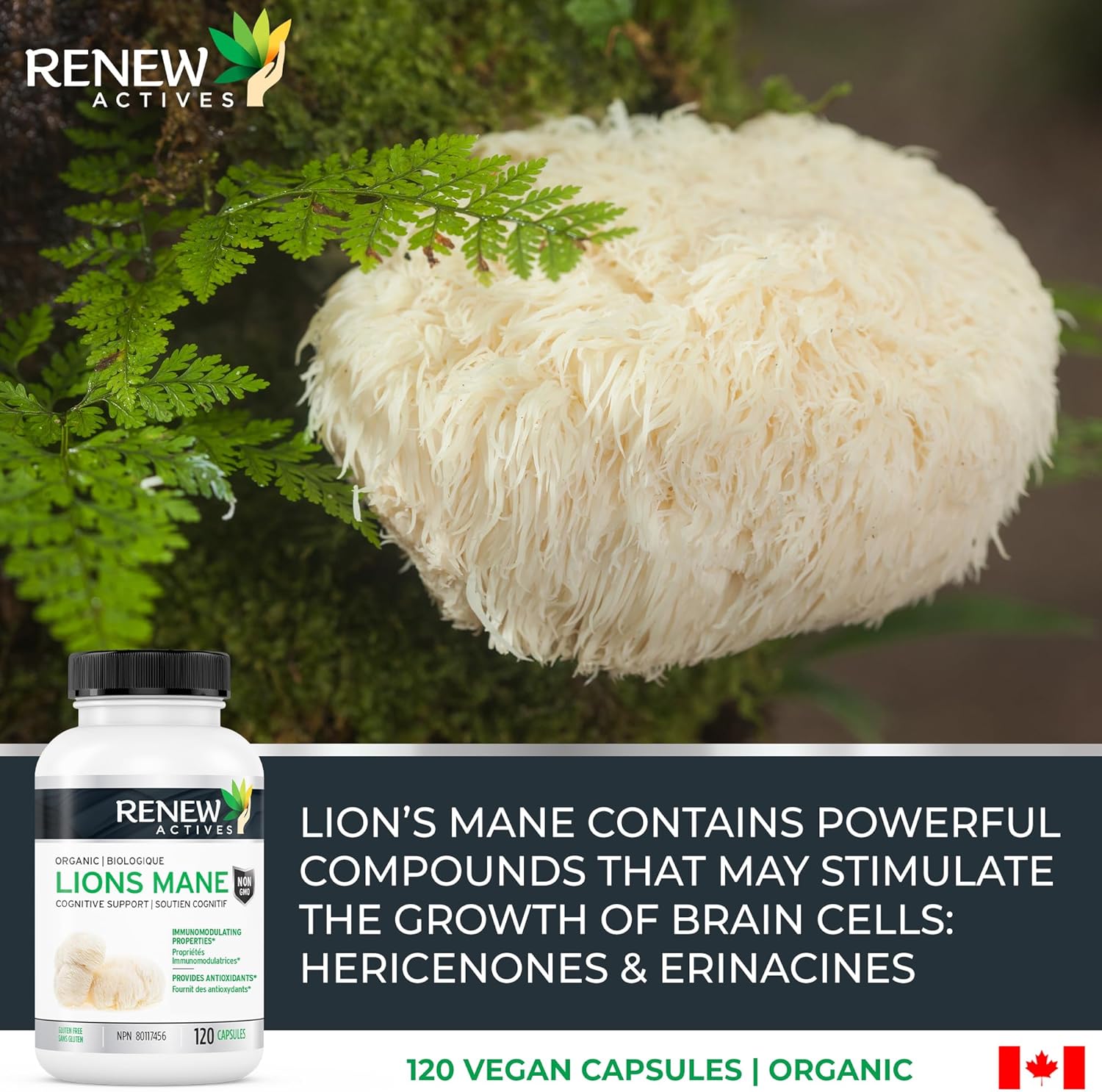 Organic Lion's Mane Mushroom Capsules for Brain Function, Memory, Focus, Stress Relief, Immune Health - 120 ct.