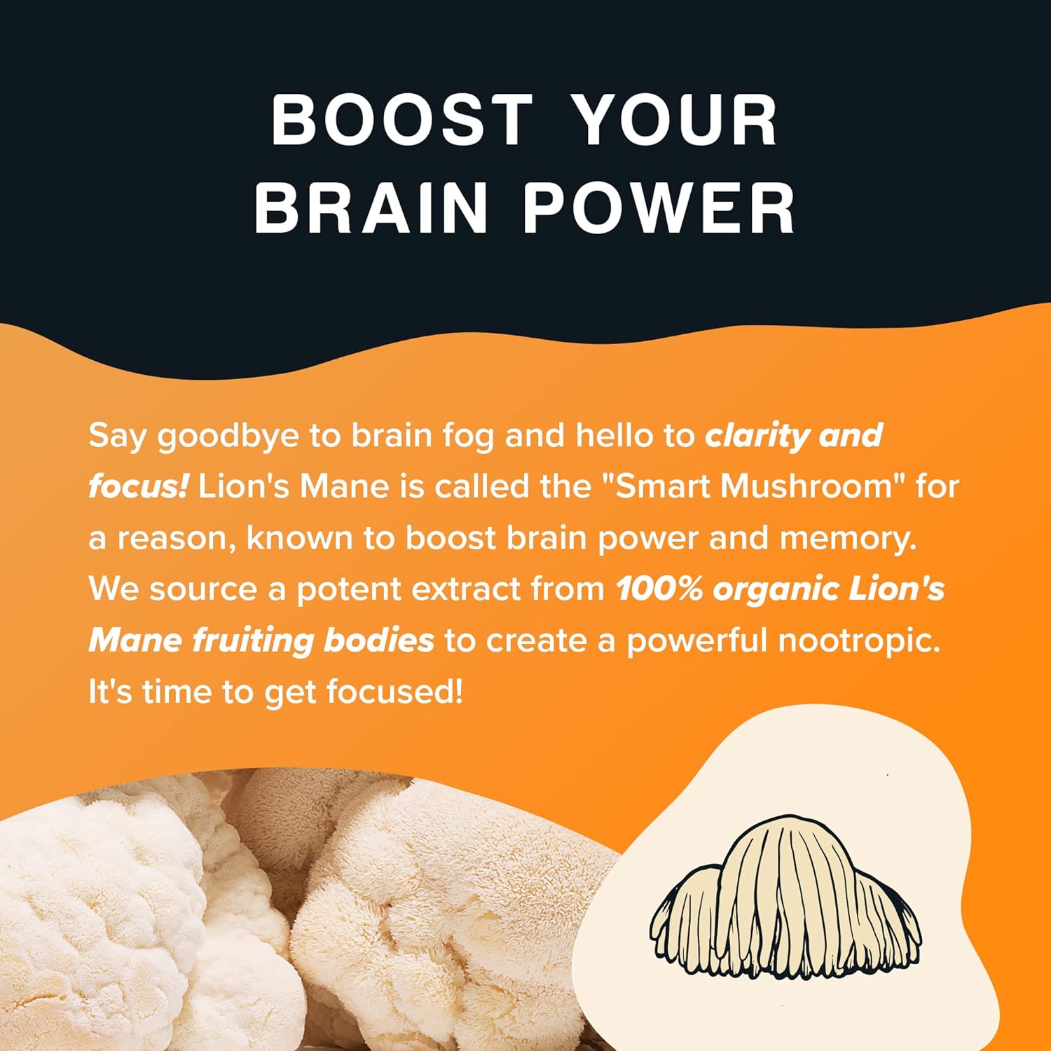 Organic Lions Mane Mushroom Powder - High Concentration Nourishing Compounds for Focus, Creativity, Memory - 4 OZ Vegan, Non-GMO Extract