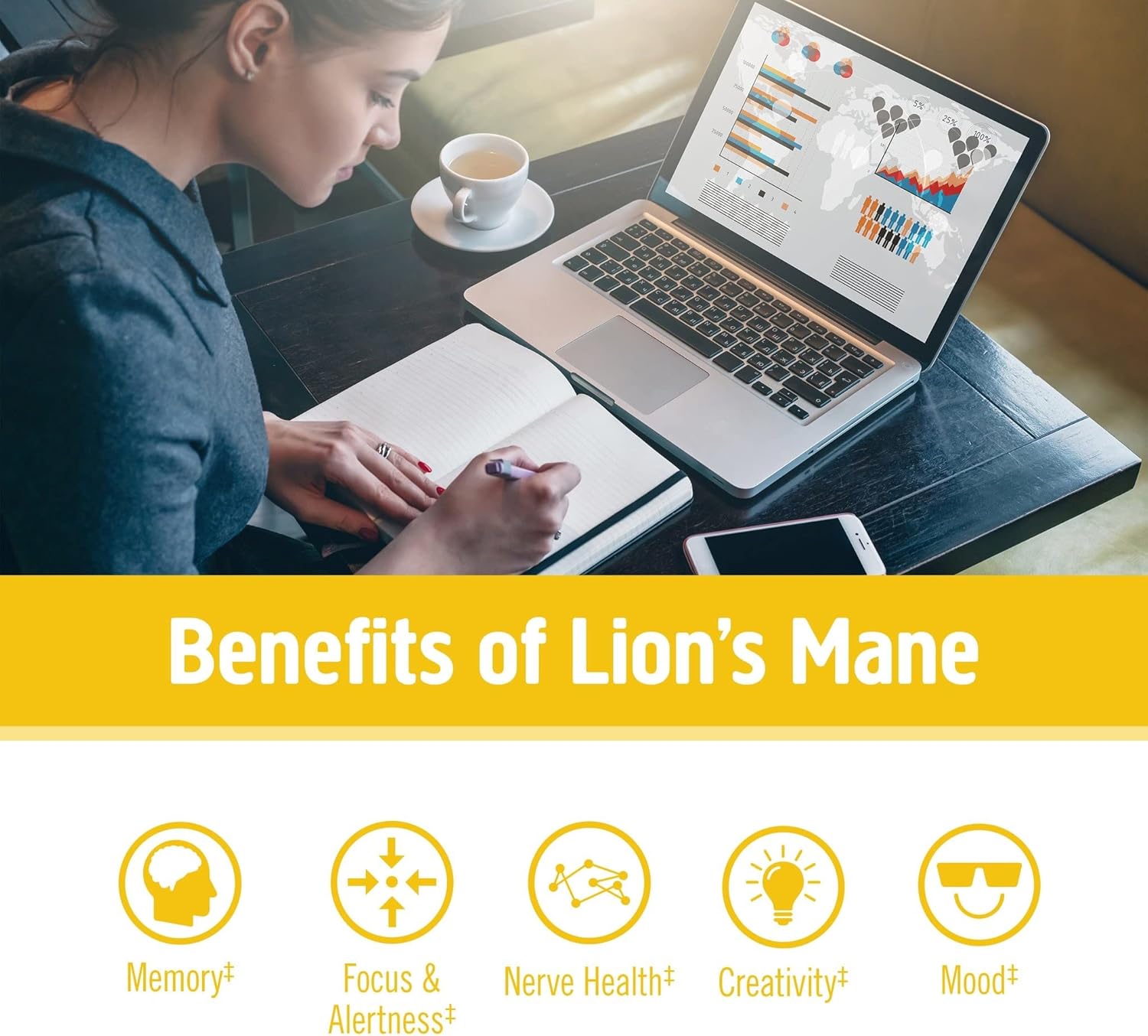 Organic Lion's Mane & Reishi Mushroom Powder Bundle - 7.05oz, 200 Servings