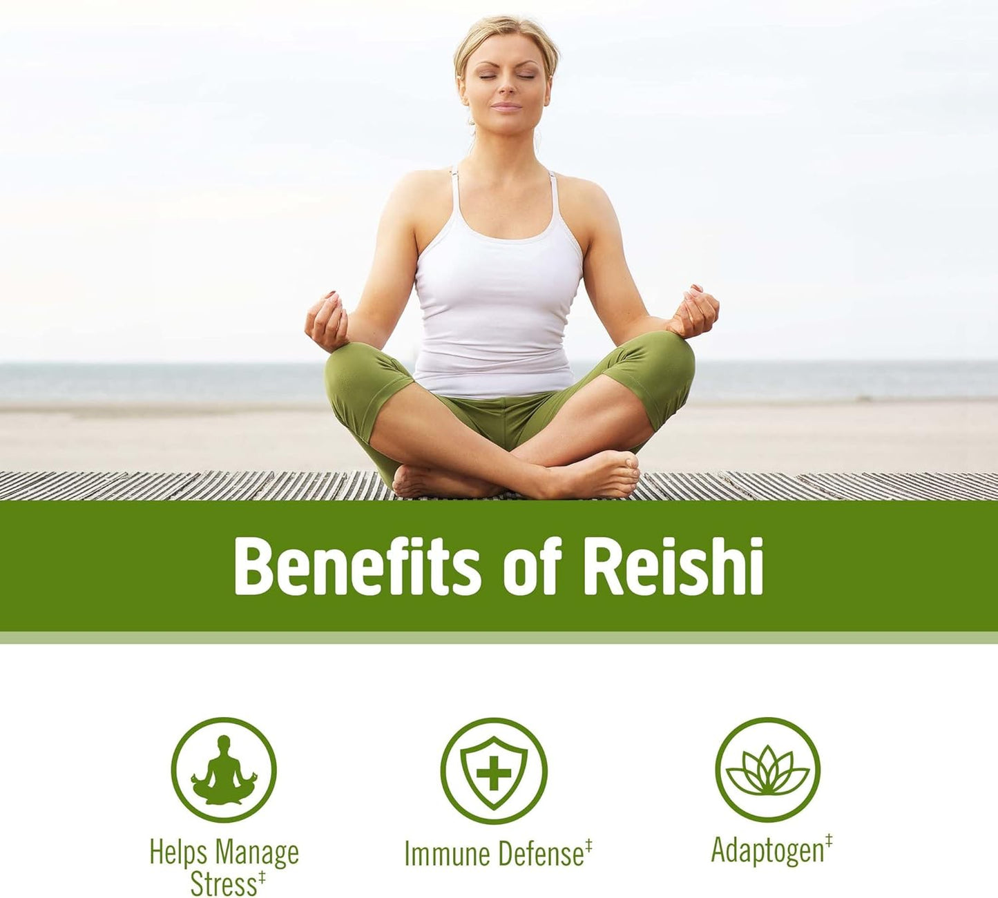 Organic Lion's Mane & Reishi Mushroom Powder Bundle - 7.05oz, 200 Servings