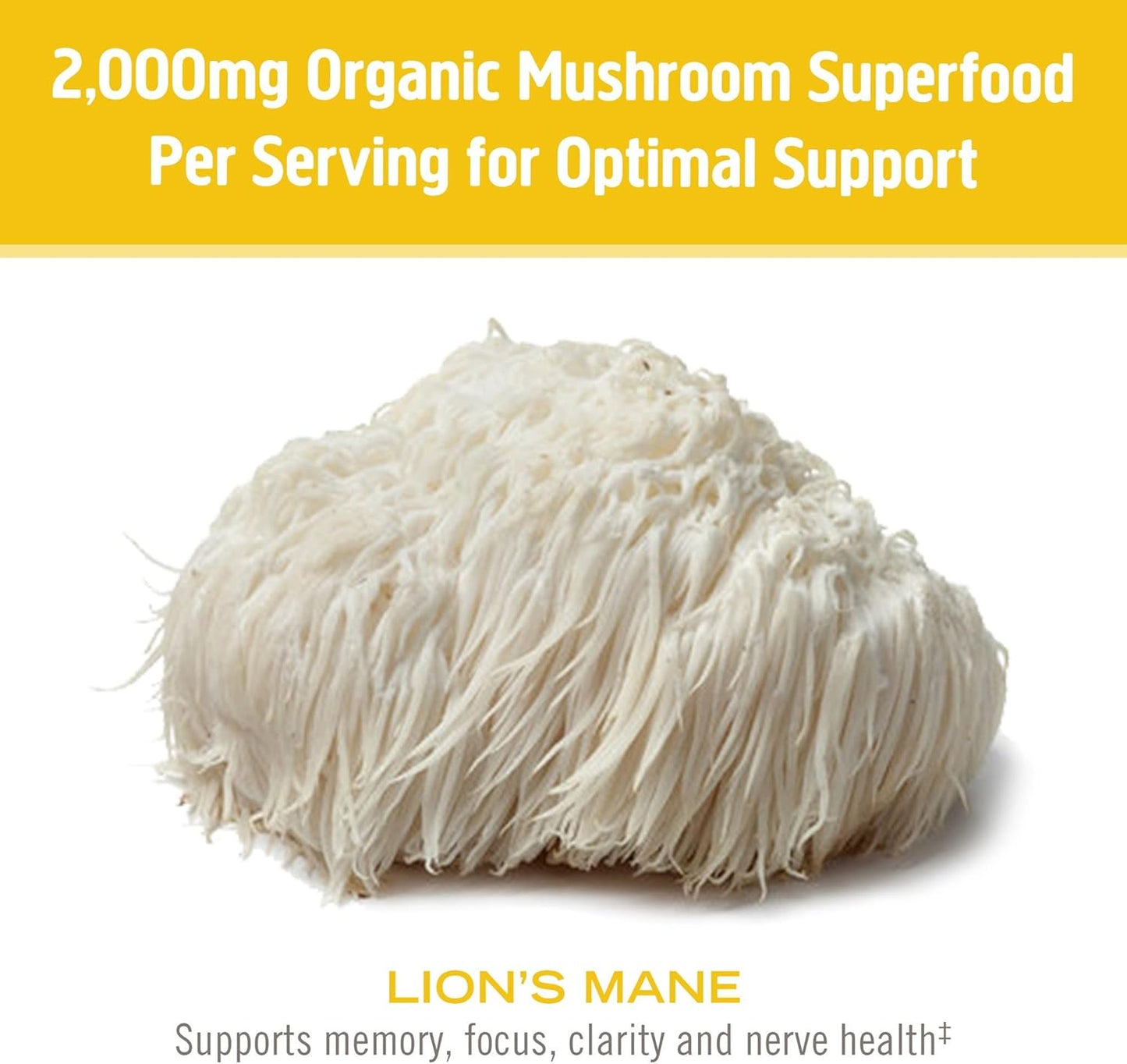Organic Lion's Mane & Reishi Mushroom Powder Bundle - 7.05oz, 200 Servings