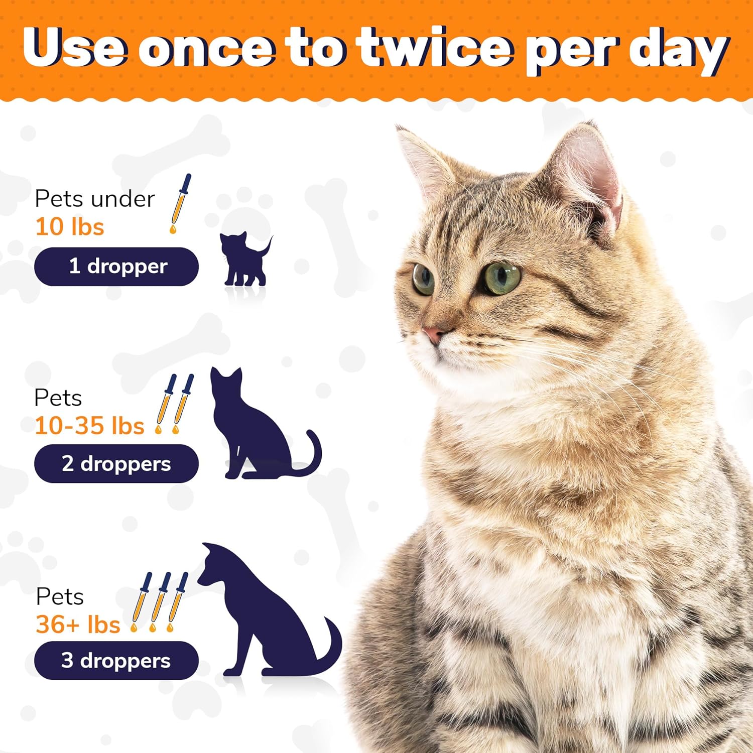 Organic Liquid Probiotic Supplement for Dogs and Cats - Clear Max Formula with Prebiotics - Herbal Taste - 2 oz Bottle