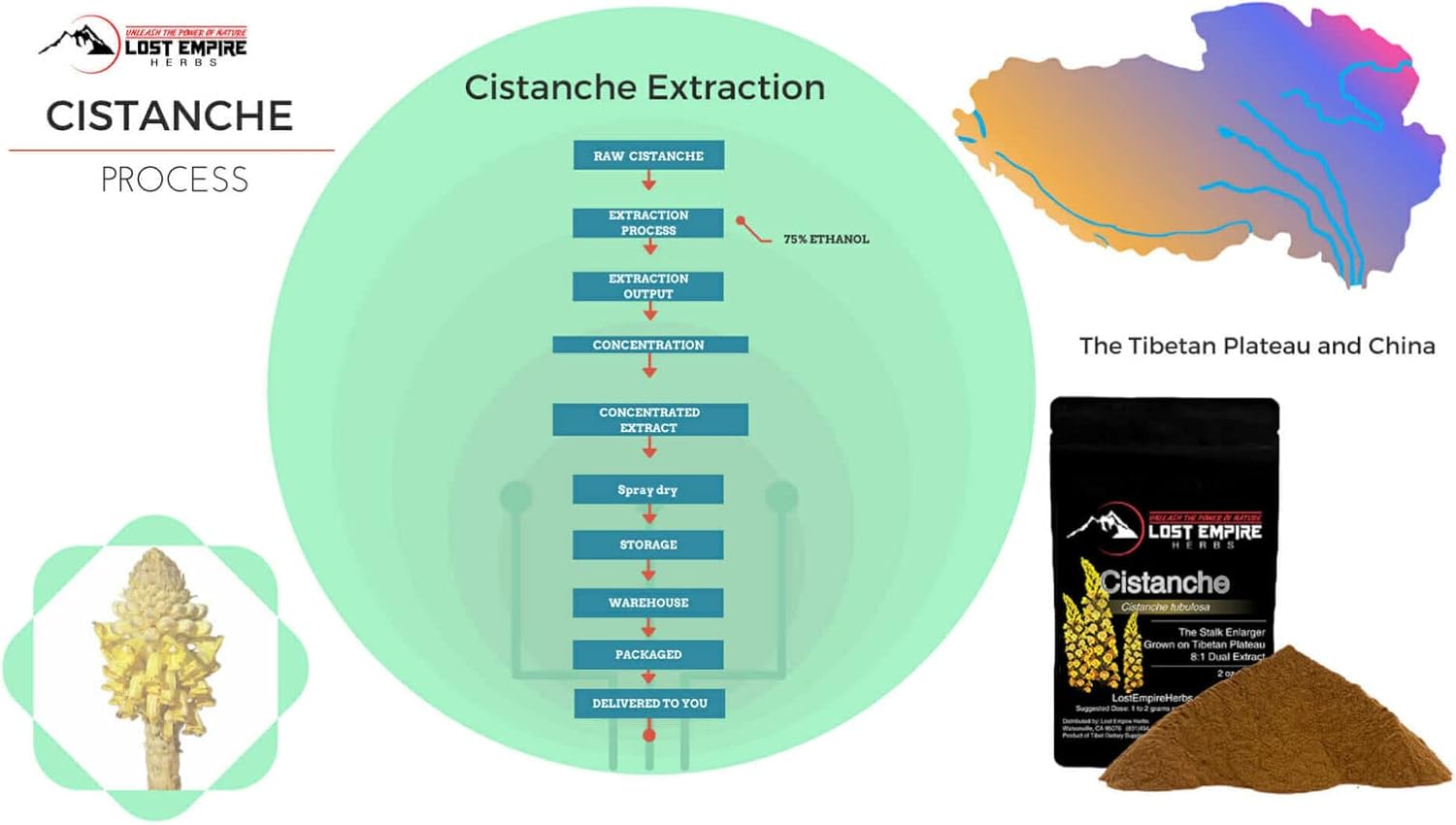 Organic Lost Empire Herbs Cistanche Tubulosa Powder Extract - 60g 8:1 Dual Extract for Men - Natural Stalk Enhancer