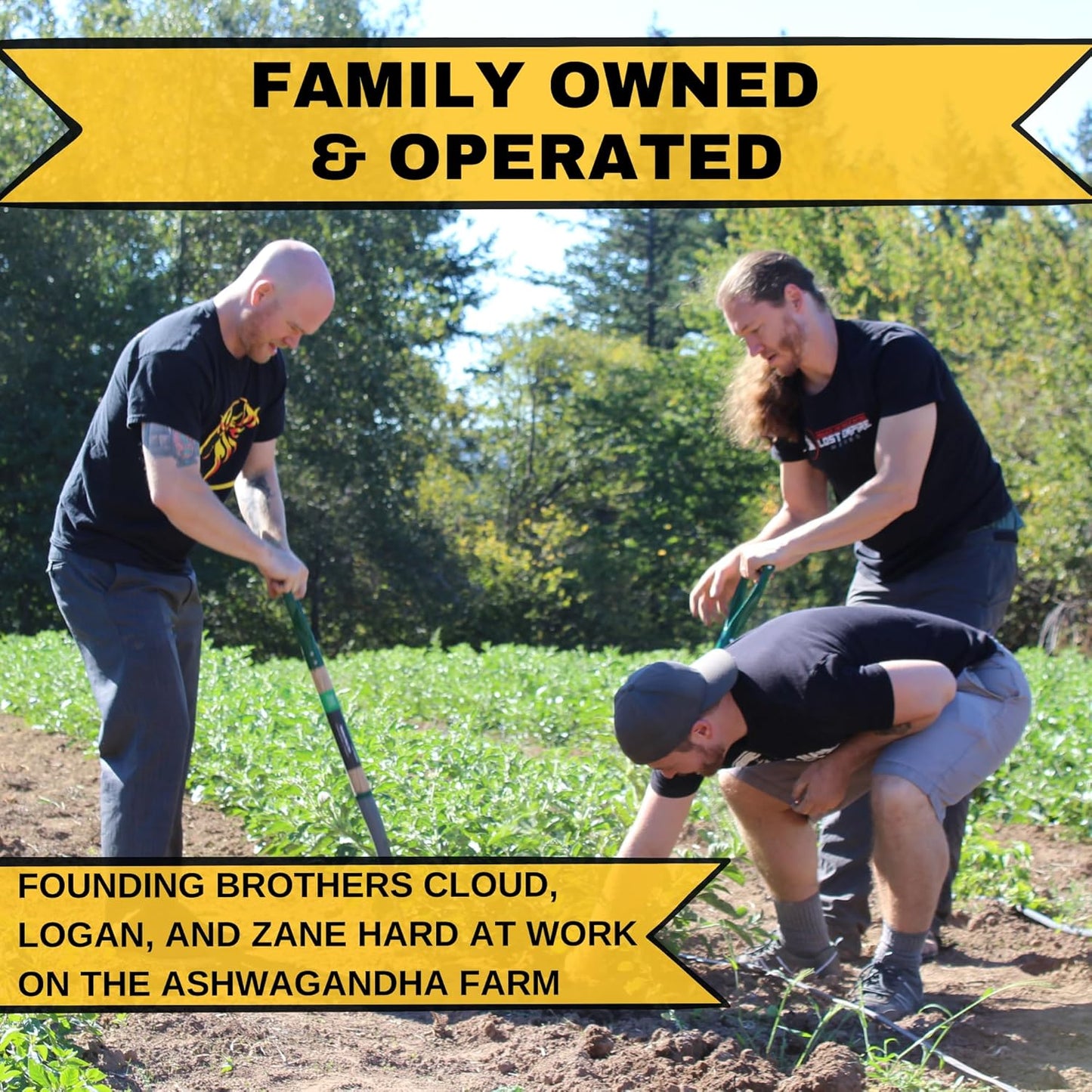 Organic Lost Empire Herbs Cistanche Tubulosa Powder Extract - 60g 8:1 Dual Extract for Men - Natural Stalk Enhancer