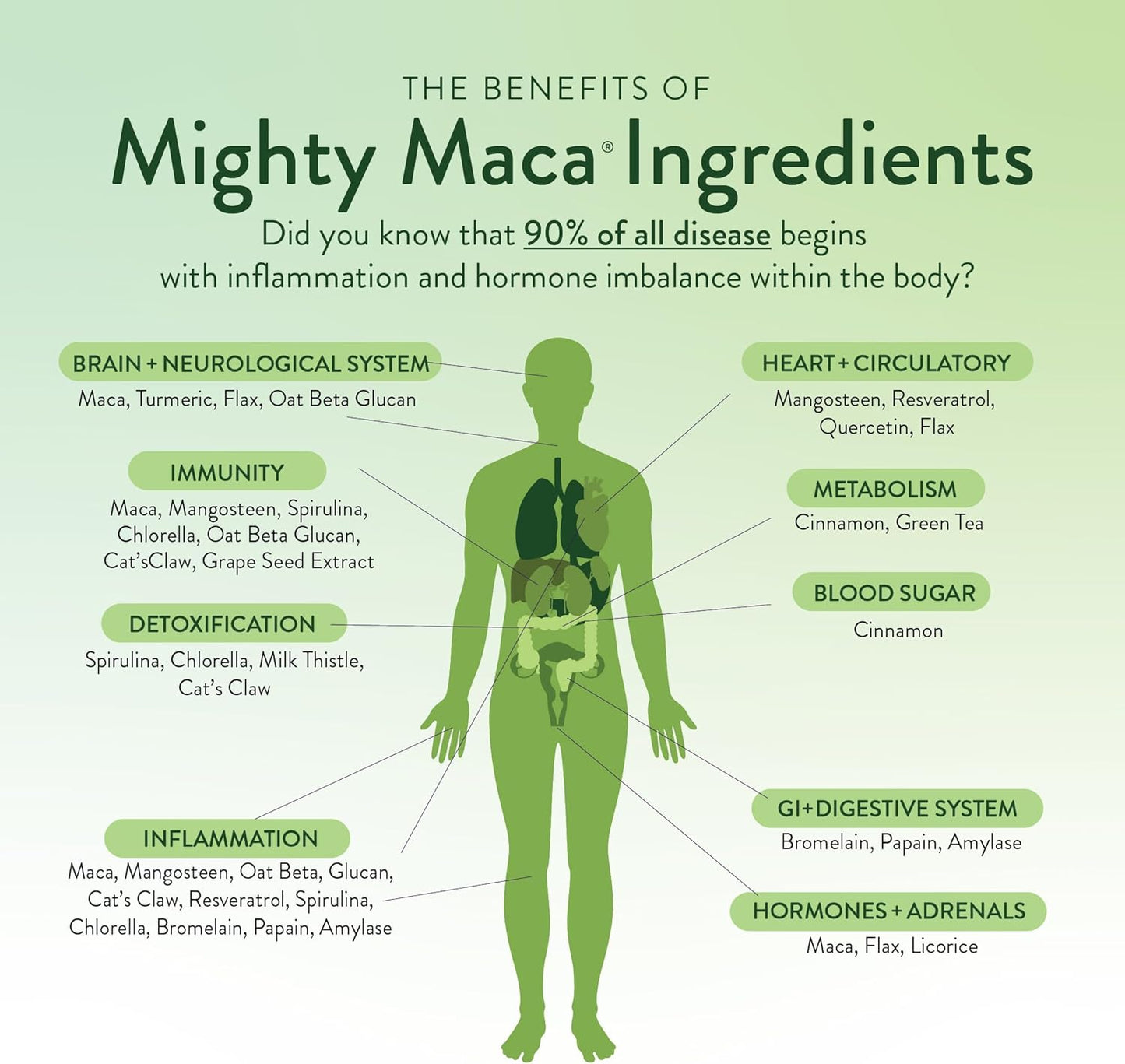 Organic Maca Root Superfoods Greens Keto Detox Drink Powder - Alkaline & Vegan (60 Servings) from VIDAPURA