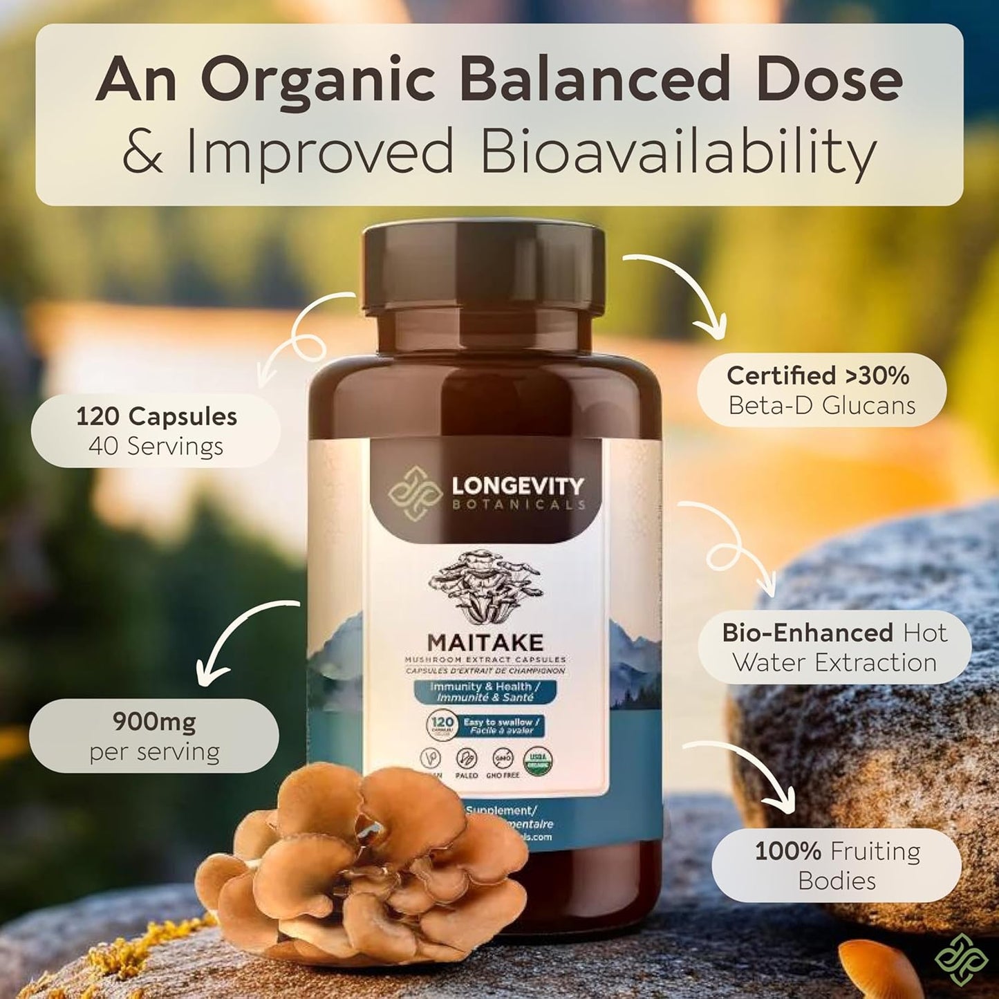 Organic Maitake Mushroom Capsules - Ultra Concentrated Supplement for Balanced Immune System - 100% Fruiting Body - 120 Capsules
