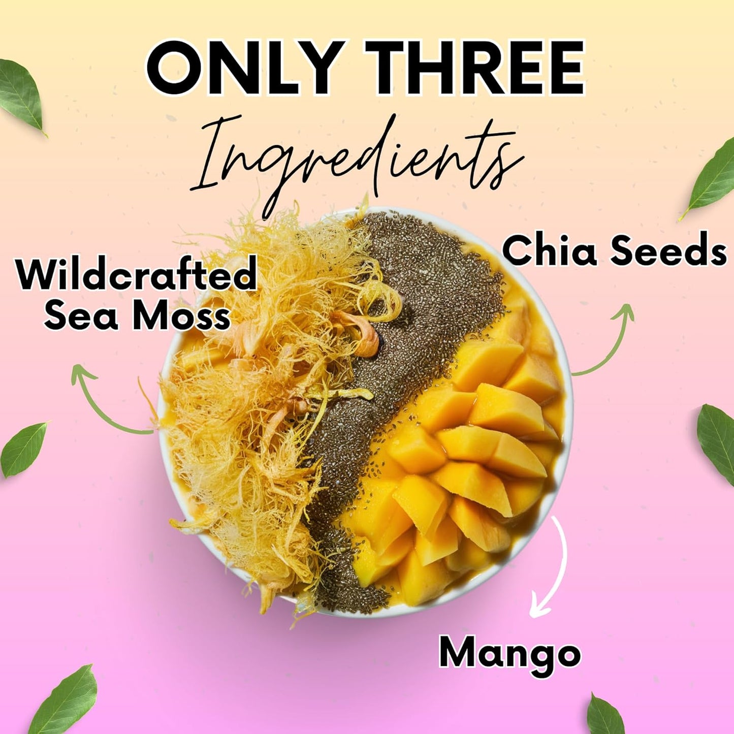 Organic Mango Sea Moss Gel with Ground Chia Seeds - Rich in Iodine & Omega-3 for Immune & Digestive Support - Vegan Superfood - 16 oz, Made in USA