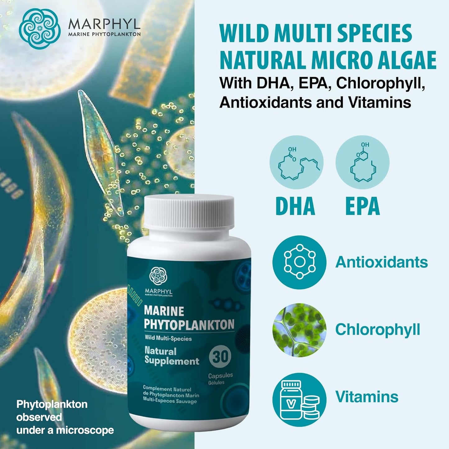 Organic MARPHYL Marine Phytoplankton Supplement Capsules - 150mg - 30 Vegan Capsules - Wild Multi Species - Vancouver Island, Canada