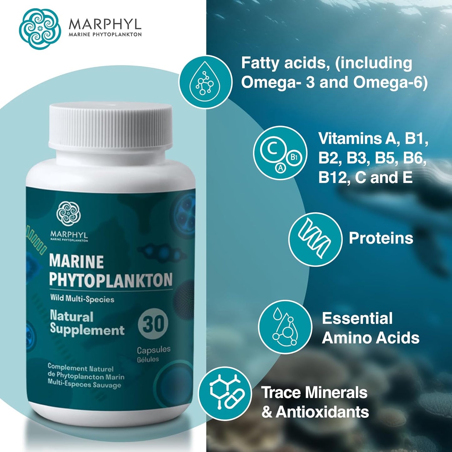 Organic MARPHYL Marine Phytoplankton Supplement Capsules - 150mg - 30 Vegan Capsules - Wild Multi Species - Vancouver Island, Canada