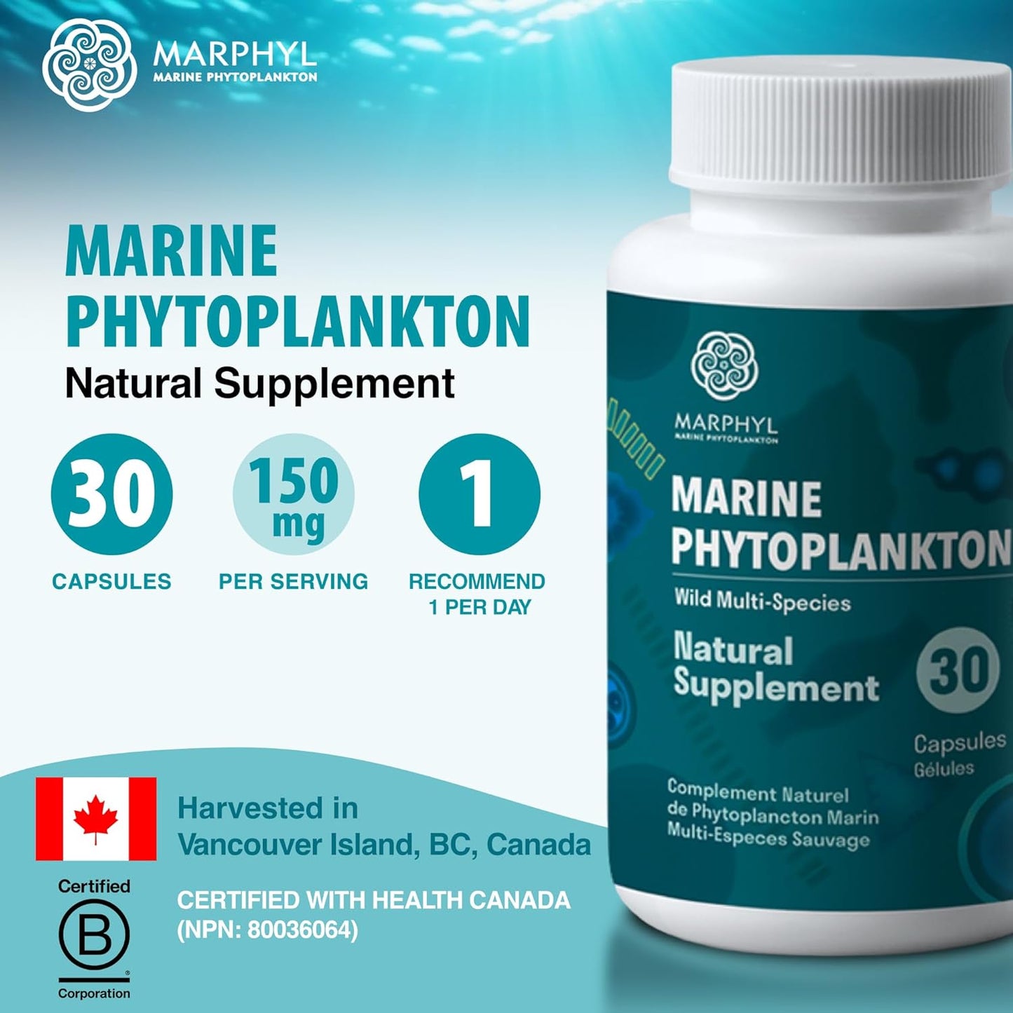 Organic MARPHYL Marine Phytoplankton Supplement Capsules - 150mg - 30 Vegan Capsules - Wild Multi Species - Vancouver Island, Canada