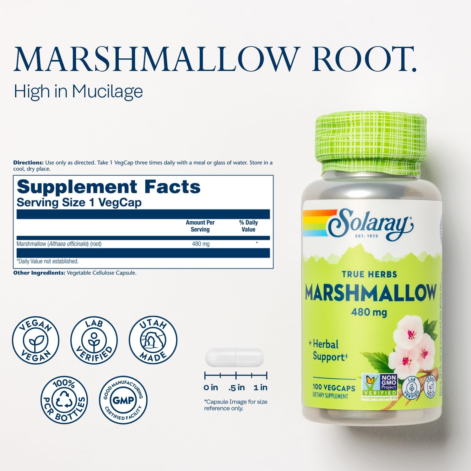 Organic Marshmallow Root Capsules - 480mg Herbal Supplement for Digestive Health - High Fiber, Vegan, Non-GMO, Lab Tested - 100 VegCaps, 100 Servings