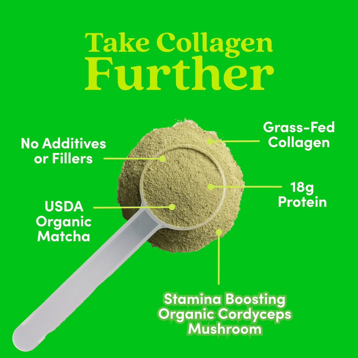 Organic Matcha Collagen Peptides Powder with Cordyceps - Boost Energy, Immunity, & Gut Health - 10.62 oz