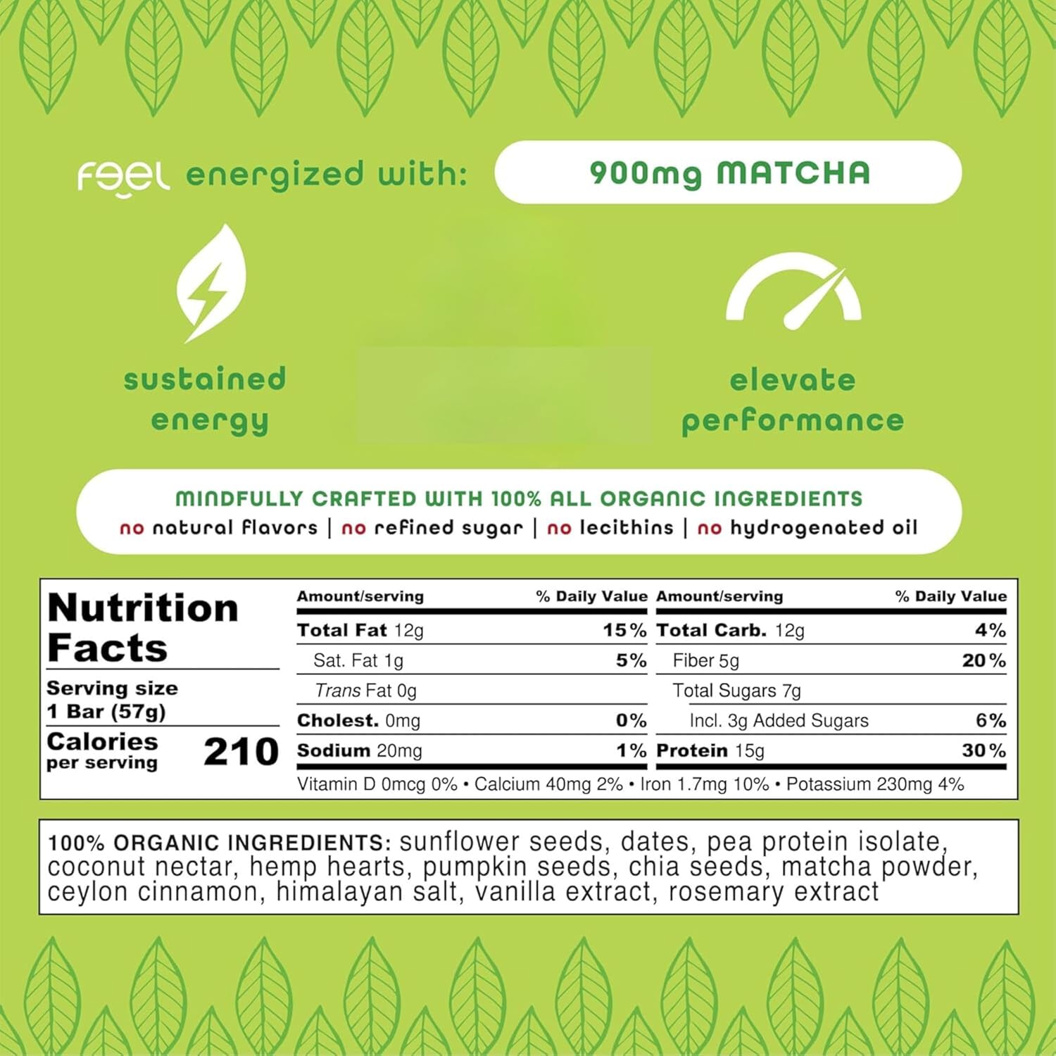 Organic Matcha Latte Vegan Protein Bars - Keto, Gluten Free, Dairy Free, Non GMO - 10 Pack